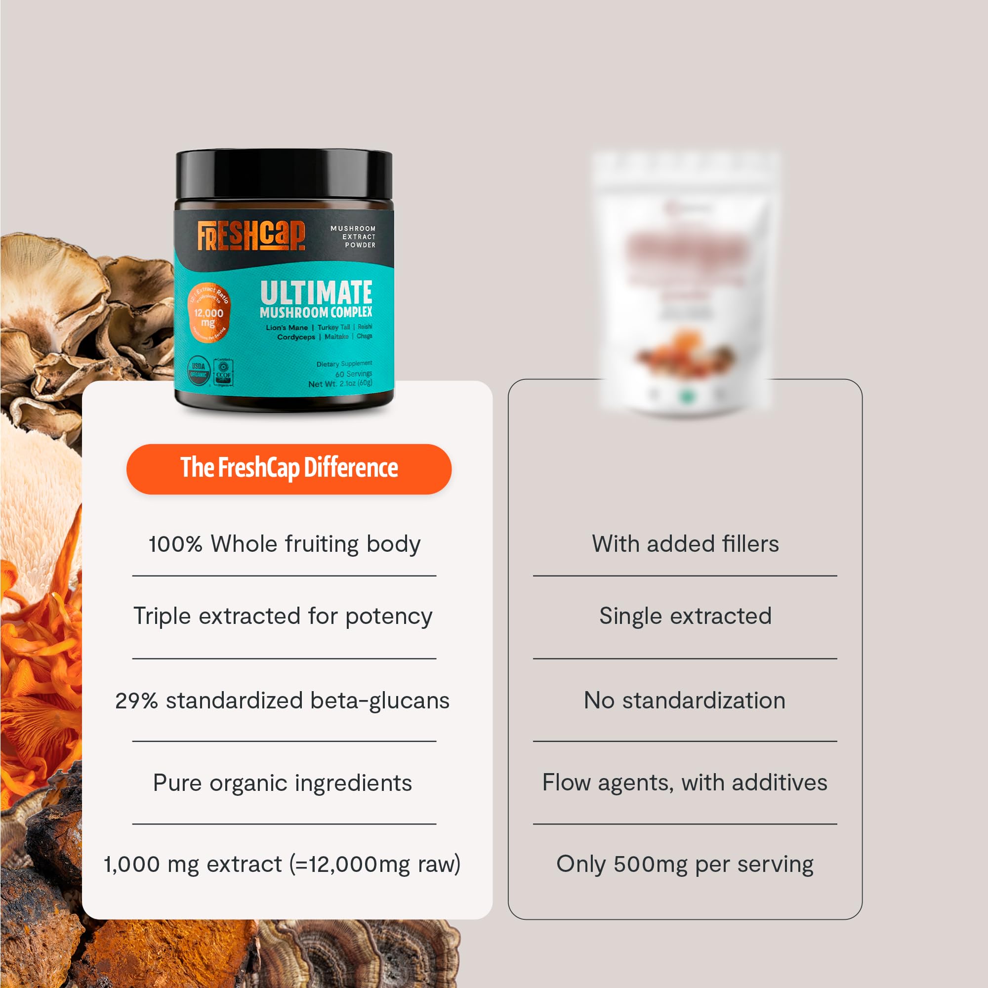 FreshCap Mushrooms Ultimate Mushroom Supplement Powder 12,000mg - Nootropic Organic Mushroom Complex for Focus & Memory, Brain Support Supplement, Ayurveda Mushroom Powder Extract (60 Servings) FreshCap Mushrooms uk supplements