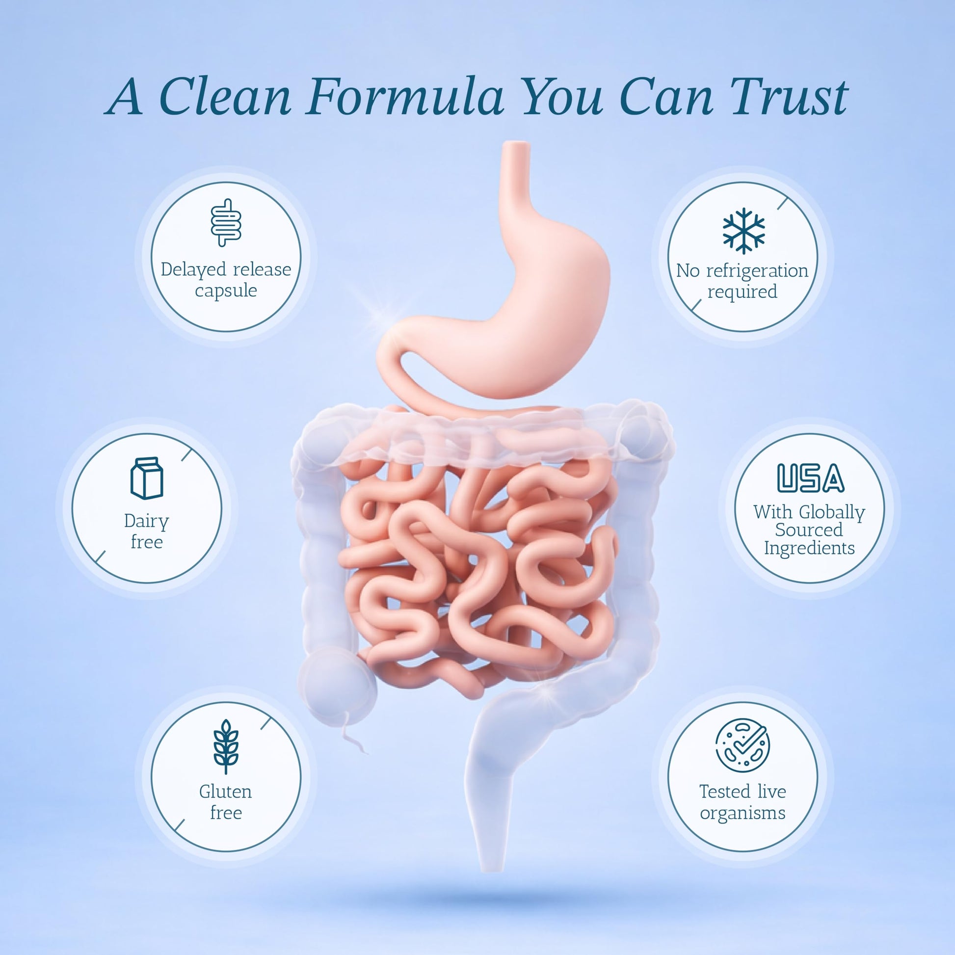 Vitamin Bounty Pro-50 Probiotics 50 Billion CFU for Women & Men - 13 Multi Strain Probiotic + Prebiotic - Digestive Health Supplements for Gut Health Support - Delayed Release Capsules for Men & Women Vitamin Bounty uk supplements