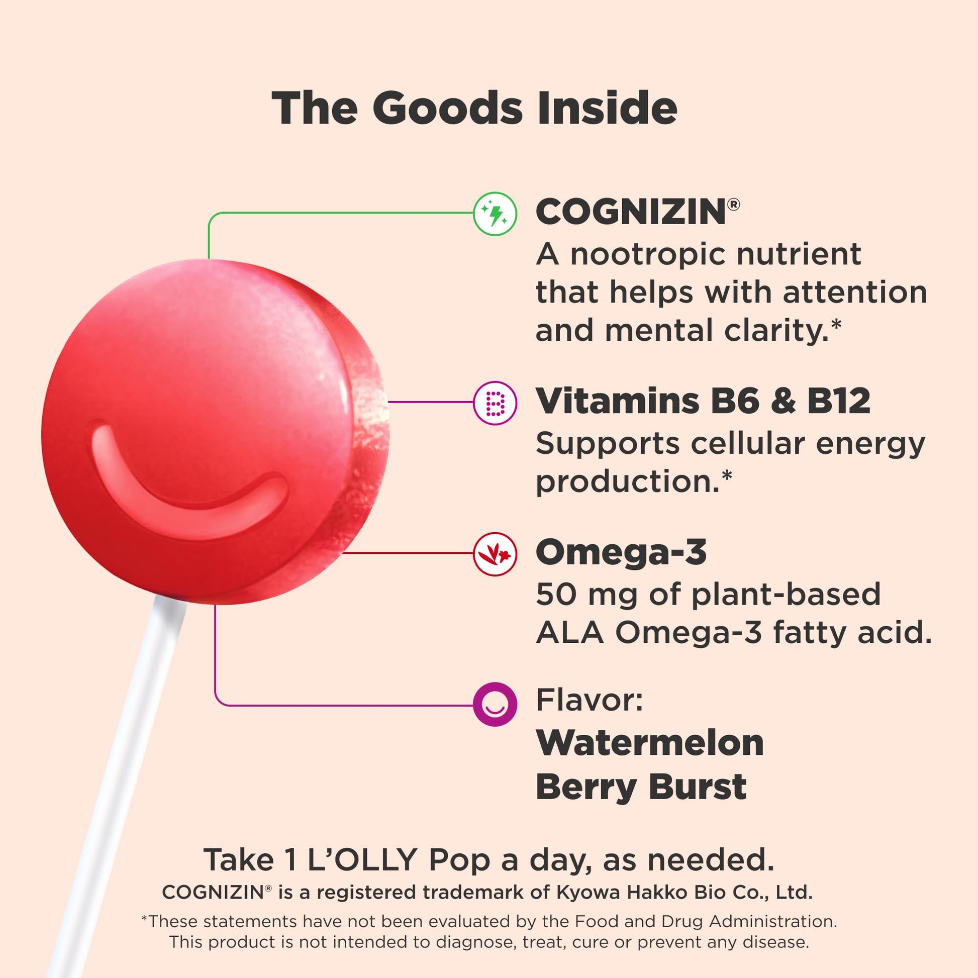 OLLY Focus Buddies L’OLLY Pops, Cognizin, Vitamins B6 and B12, Omega-3 ALA, Supports Focused Attention and Healthy Brain Function,* Kids 4+ Dietary Supplement, Watermelon Strawberry Flavored, 25 Count OLLY uk supplements