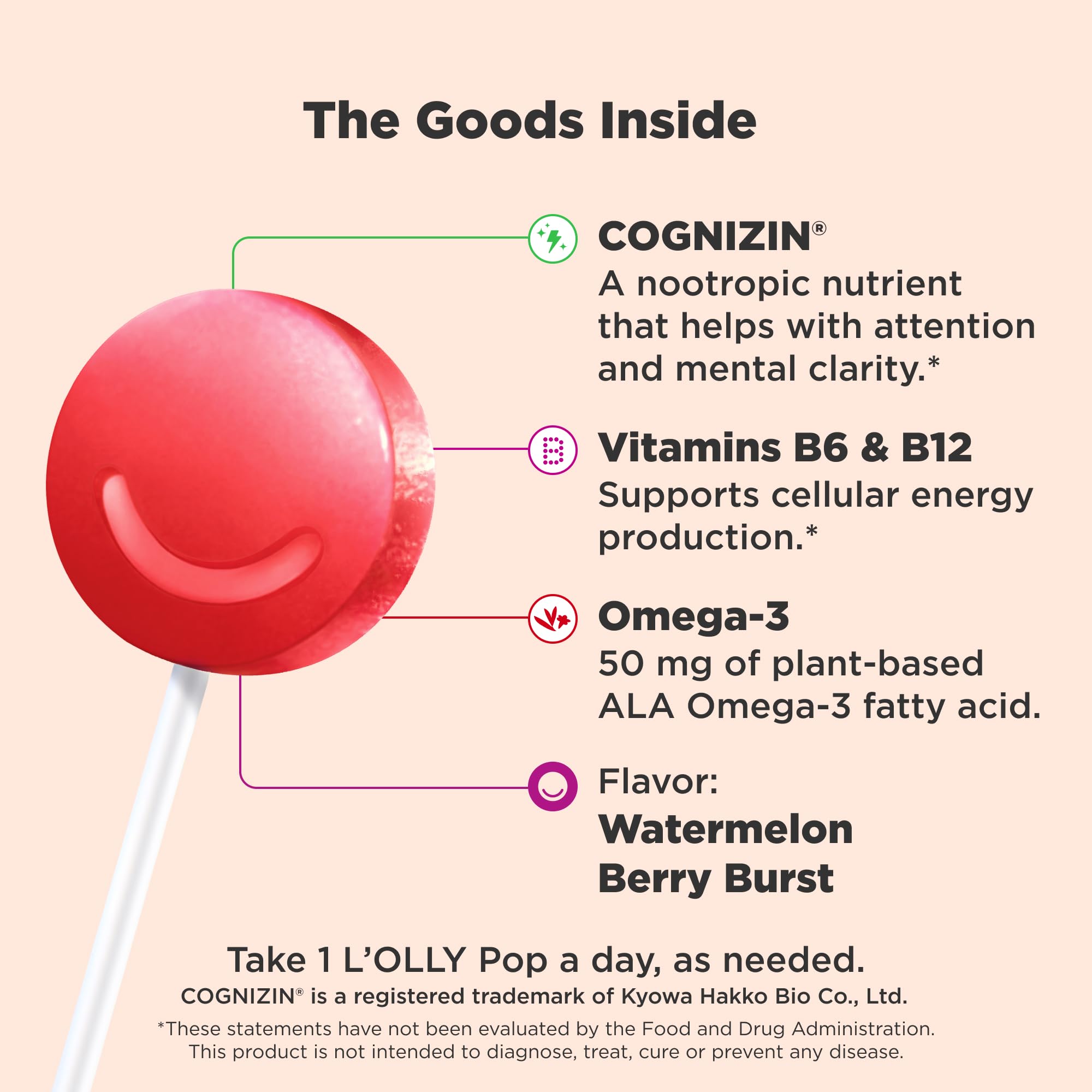 OLLY Focus Buddies L’OLLY Pops, Cognizin, Vitamins B6 and B12, Omega-3 ALA, Supports Focused Attention and Healthy Brain Function,* Kids 4+ Dietary Supplement, Watermelon Strawberry Flavored, 25 Count OLLY uk supplements