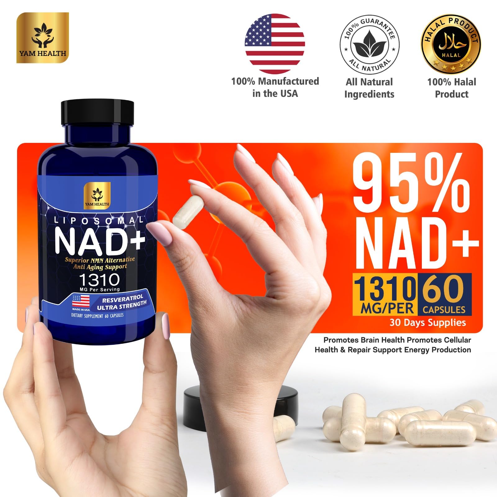YAM Health Liposomal NAD Nicotinamide Riboside Equivalent with Trans-Resveratrol 300mg, Premium Halal NAD Supplement for Energy Metabolism, DNA Repair and Longevity, Vegan, Non-GMO (60 Count) YAM Health uk supplements