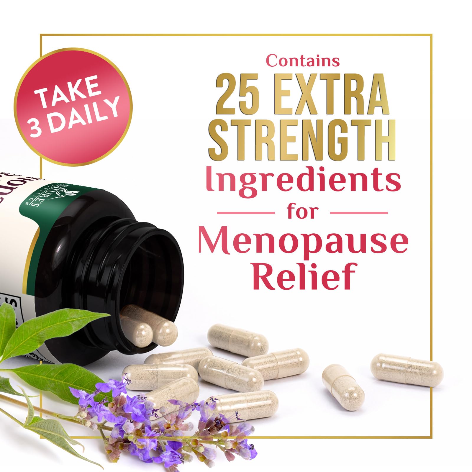 Menopause Supplement for Women - Natural Menopause Relief Support for Mild Hot Flashes & Night Sweats - Best Probiotics for Women, Dong Quai, Black Cohosh, Ashwagandha - Bottled in USA - 60 Capsules Nature's Nutrition uk supplements