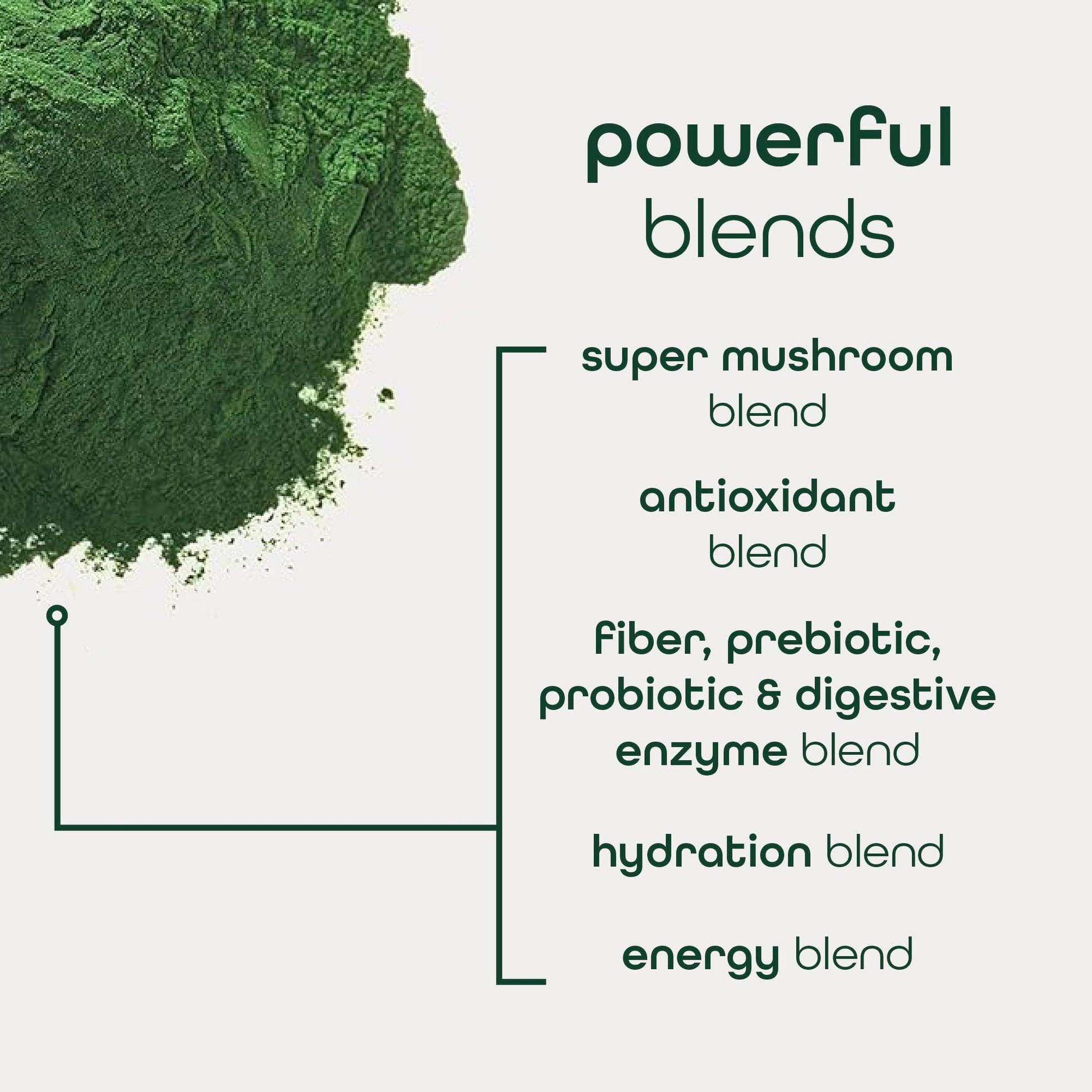 Zena Nutrition Organic Super Greens Energy & Hydration Powder, 70+ Superfoods, 0 Sugar, 5G Fiber, Spirulina, Chlorella, Prebiotics/Probiotics, Natural Caffeine + Electrolytes, 40 Drink Mix Packets Zena Nutrition uk supplements