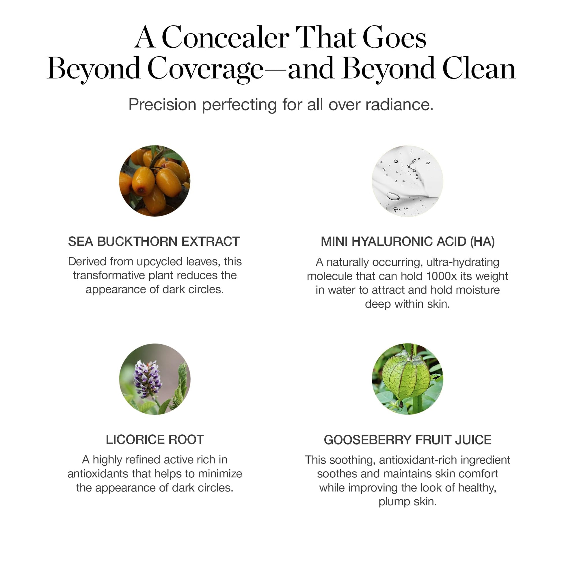 Ogee Complexion Perfecting Under Eye Concealer - Certified Organic Full Coverage Concealer - Buildable Coverage - OSIER 1.75W - Light Medium (Olive Undertones) Ogee uk supplements
