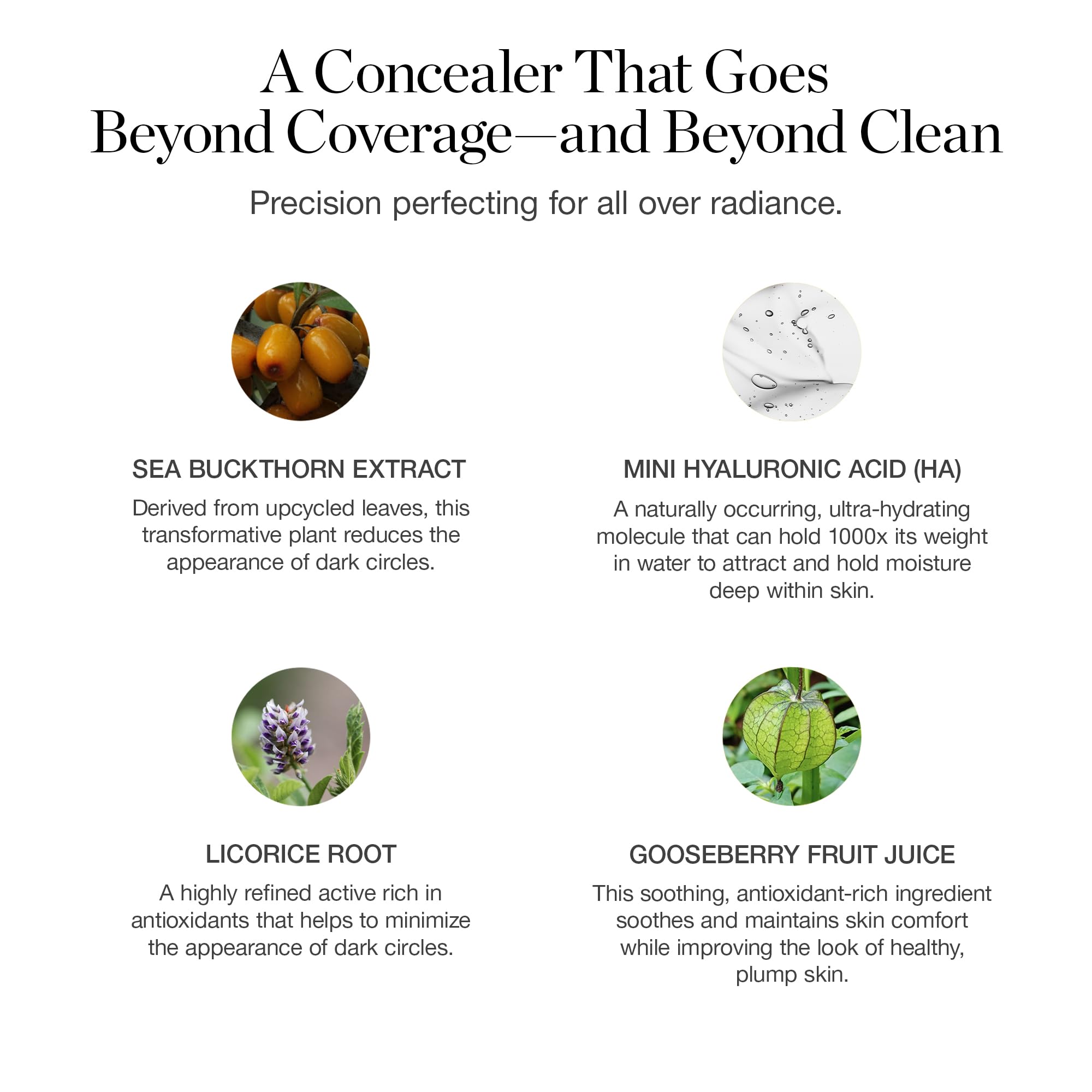 Ogee Complexion Perfecting Under Eye Concealer - Certified Organic Full Coverage Concealer - Buildable Coverage - OSIER 1.75W - Light Medium (Olive Undertones) Ogee uk supplements