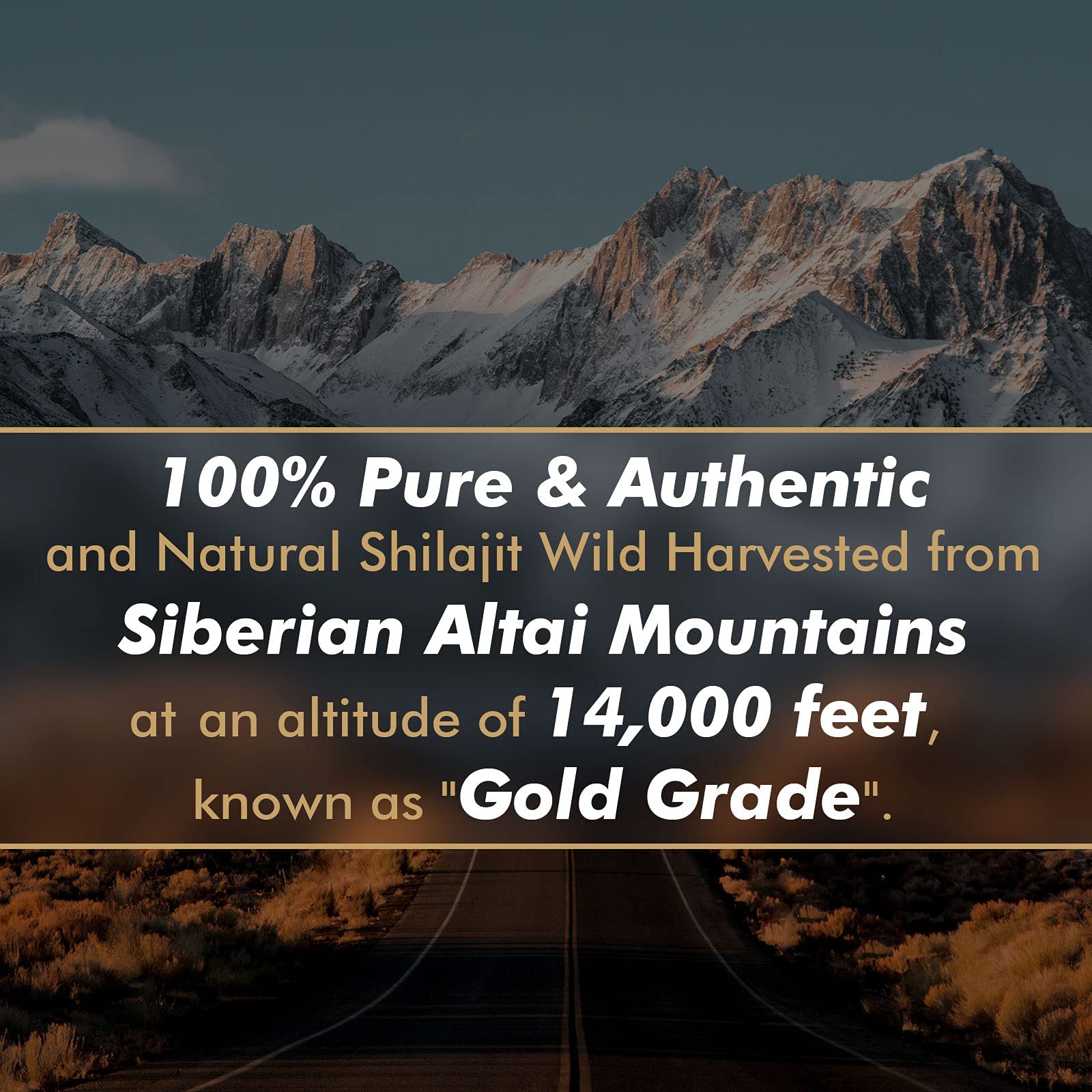 Shilajit Resin with Fulvic Acid & Trace Minerals, Original Siberian Pure Shilajit with 85+ Humic ALTAY MUMMIYO uk supplements