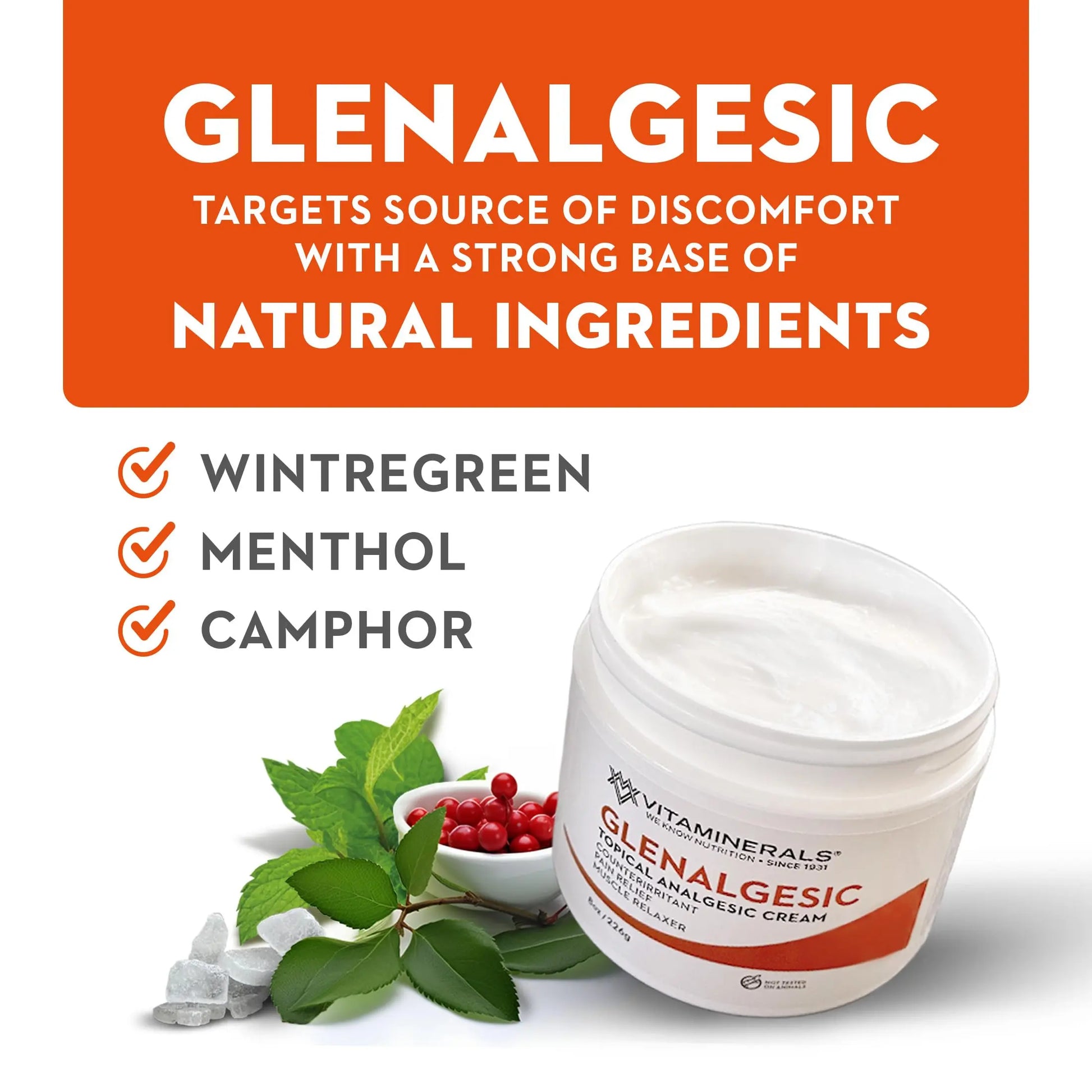 Vitaminerals 171 Glenalgesic® Pain Support Analgesic Balm, Muscle & Joint | Maximum Strength | Menthol | Camphor (8 oz) Vitaminerals uk supplements
