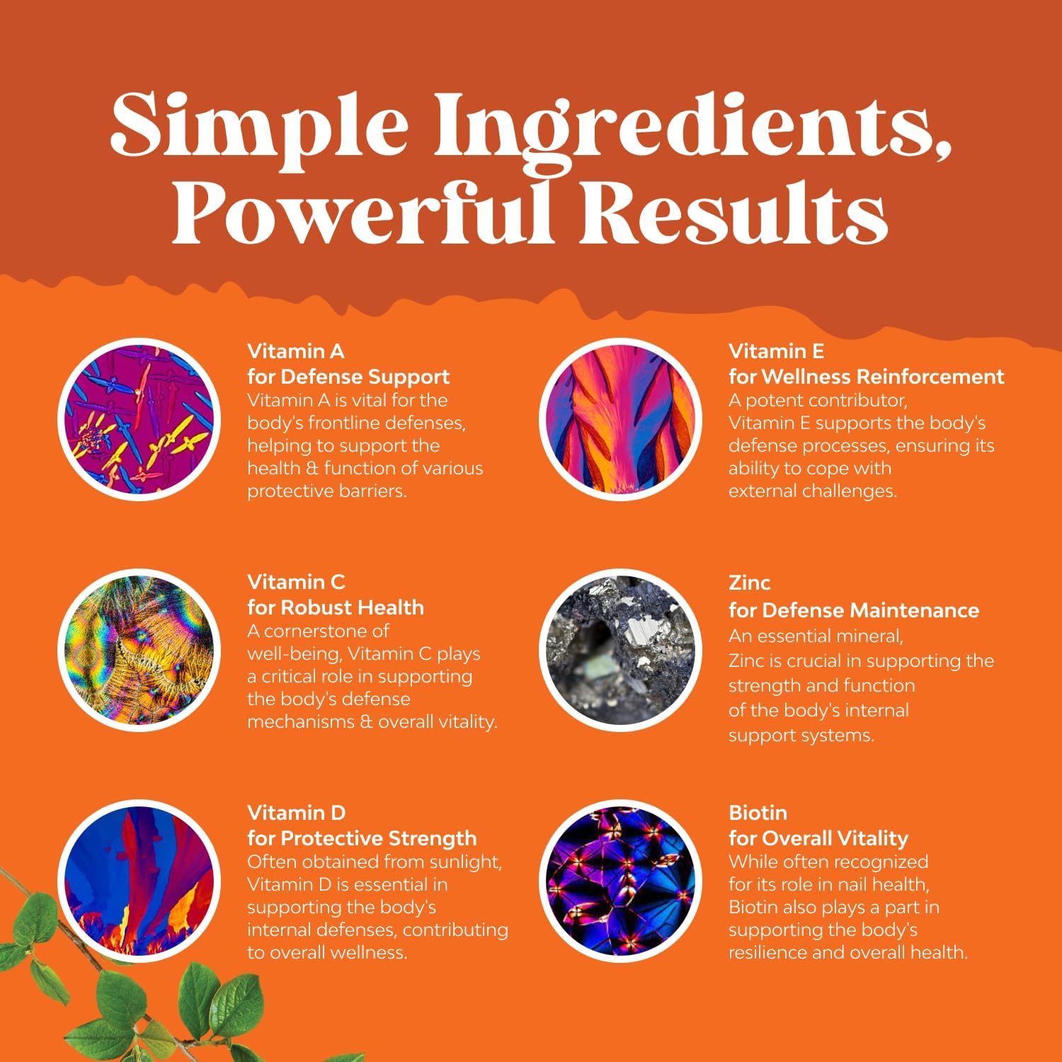 Potent Daily Multivitamin Gummies for Adults - Wellness Blend of Vitamin D A C E B12 Zinc and Biotin - Adult Vitamin Gummy for Energy and Immune Health Natures Craft uk supplements