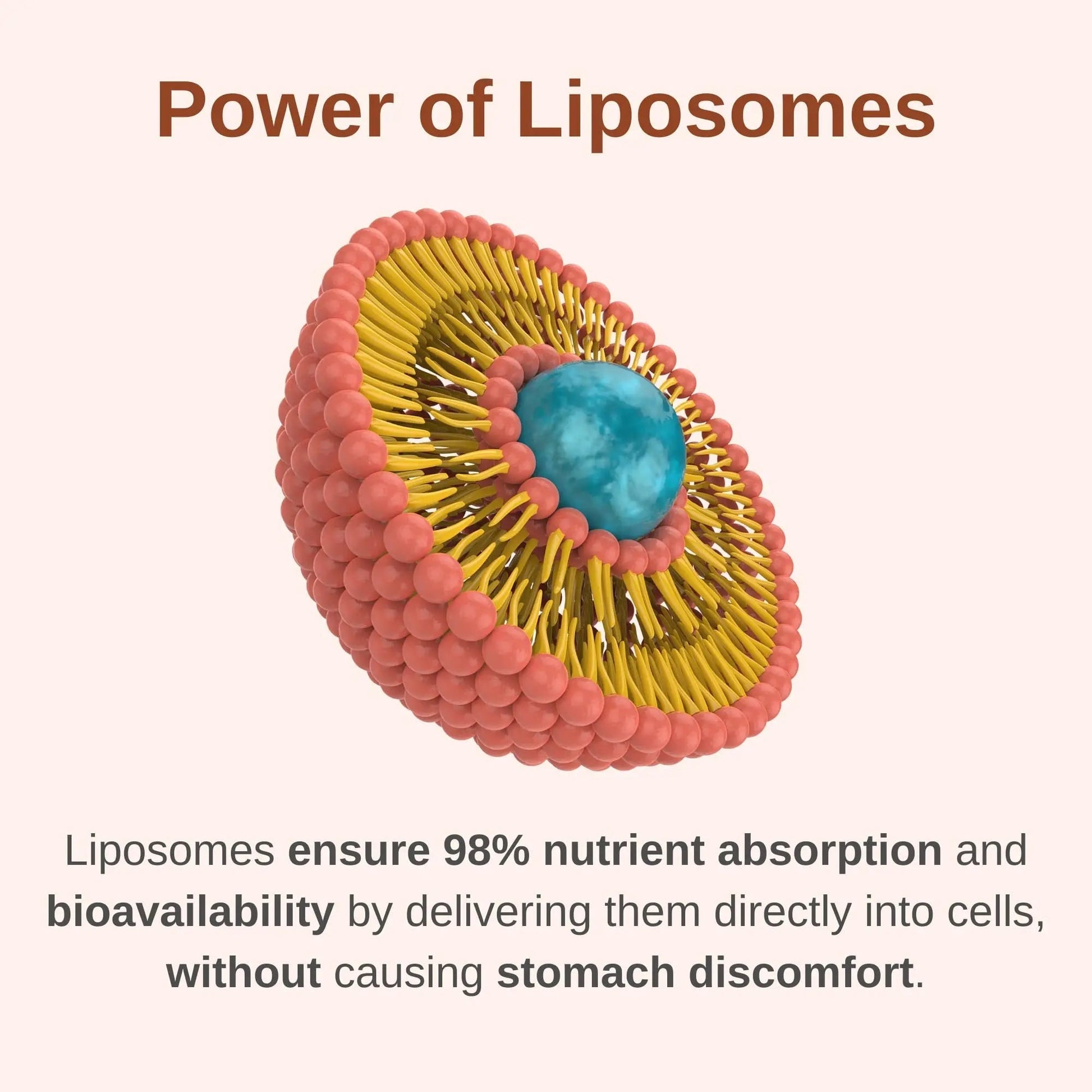 Vitaminally Liposomal Men's 50+ Liquid Multivitamin Drops | Non-GMO | Sugar Free | Gluten Free | 30 Day Supply | 3 FL Oz | Vitaminally uk supplements