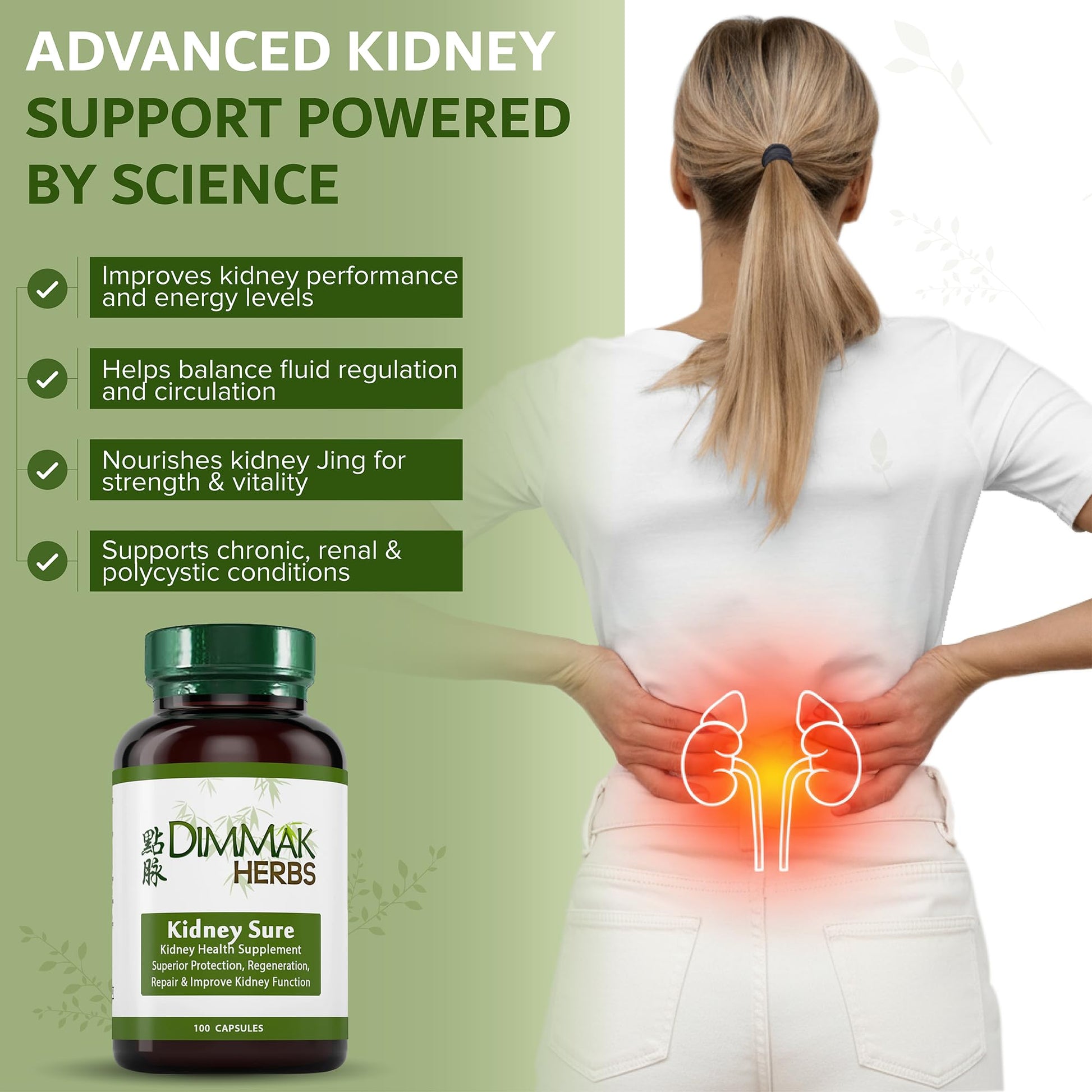 Dimmak Herbs Kidney Sure- Kidney Cleanse & Revitilization Tonic- Organic Herbal Support for Renal Health, Urinary Tract Flow & Vitality- TCM Doctor Formulated, Vegan- 400mg 100 Capsules Dimmak Herbs uk supplements