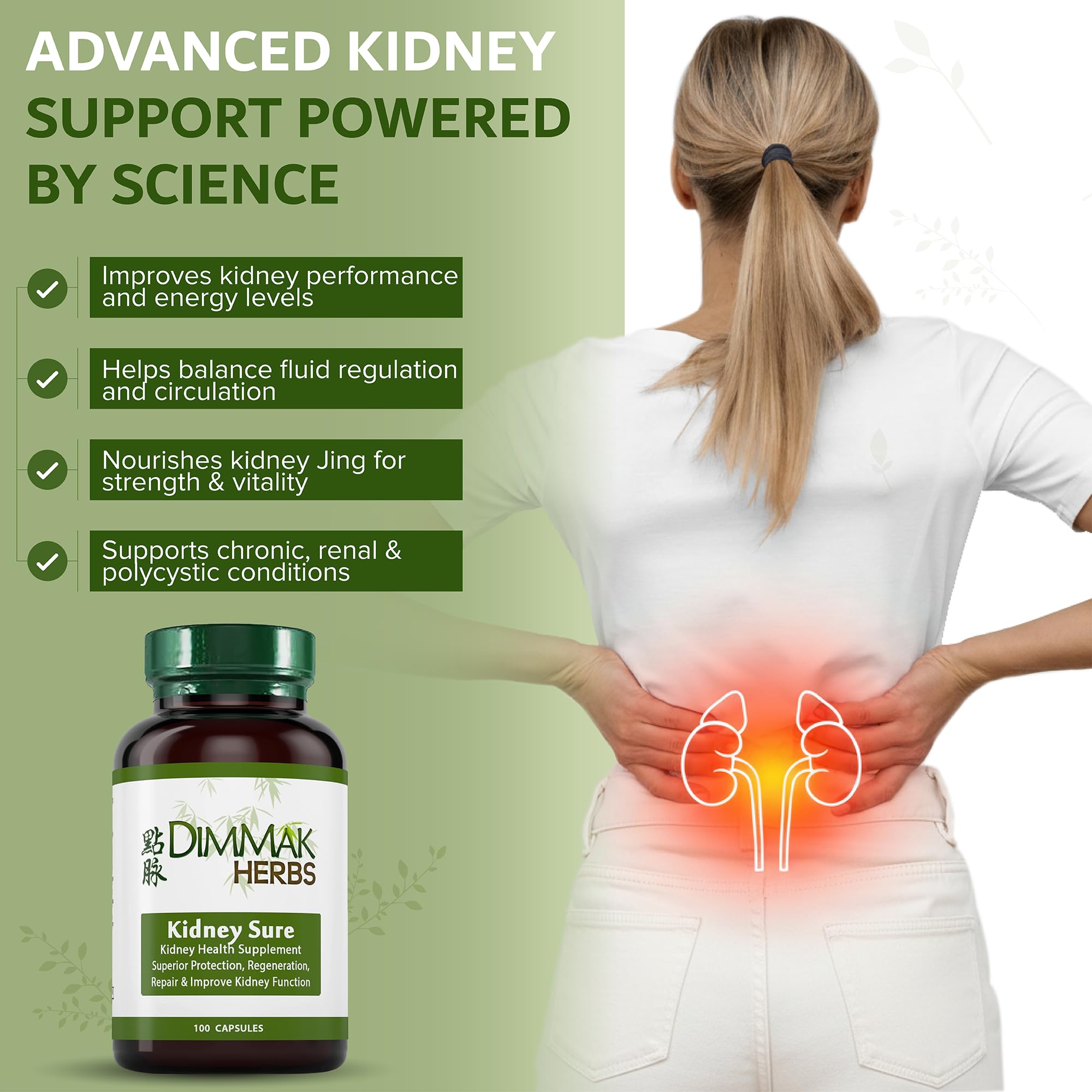Dimmak Herbs Kidney Sure- Kidney Cleanse & Revitilization Tonic- Organic Herbal Support for Renal Health, Urinary Tract Flow & Vitality- TCM Doctor Formulated, Vegan- 400mg 100 Capsules Dimmak Herbs uk supplements