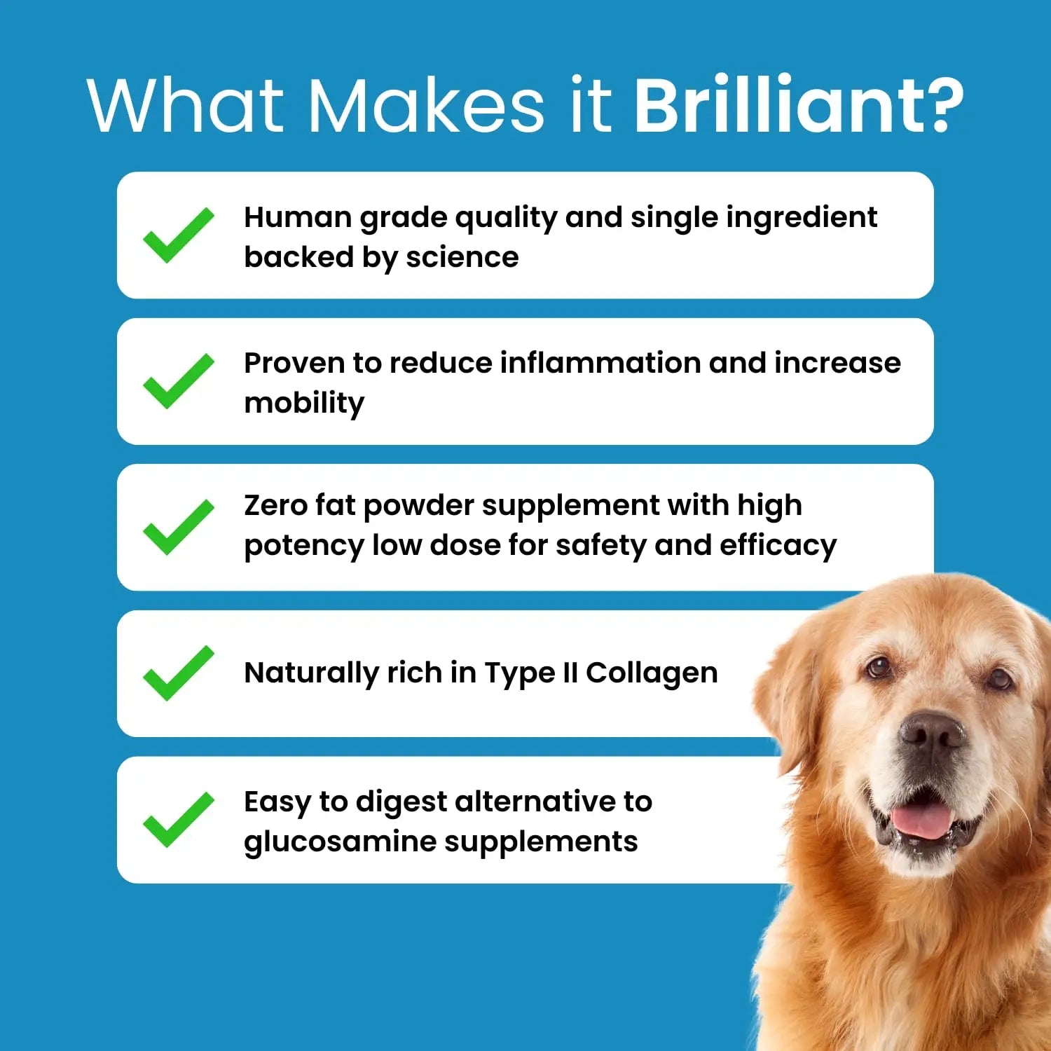 Hofseth BioCare Brilliant Bone & Joint Supplement for Dogs - High Strength Calcium & Collagen Powder for Joint & Hip Support, Essential Supplement for Dog’s of All Ages - 10.6 Oz Hofseth BioCare uk supplements