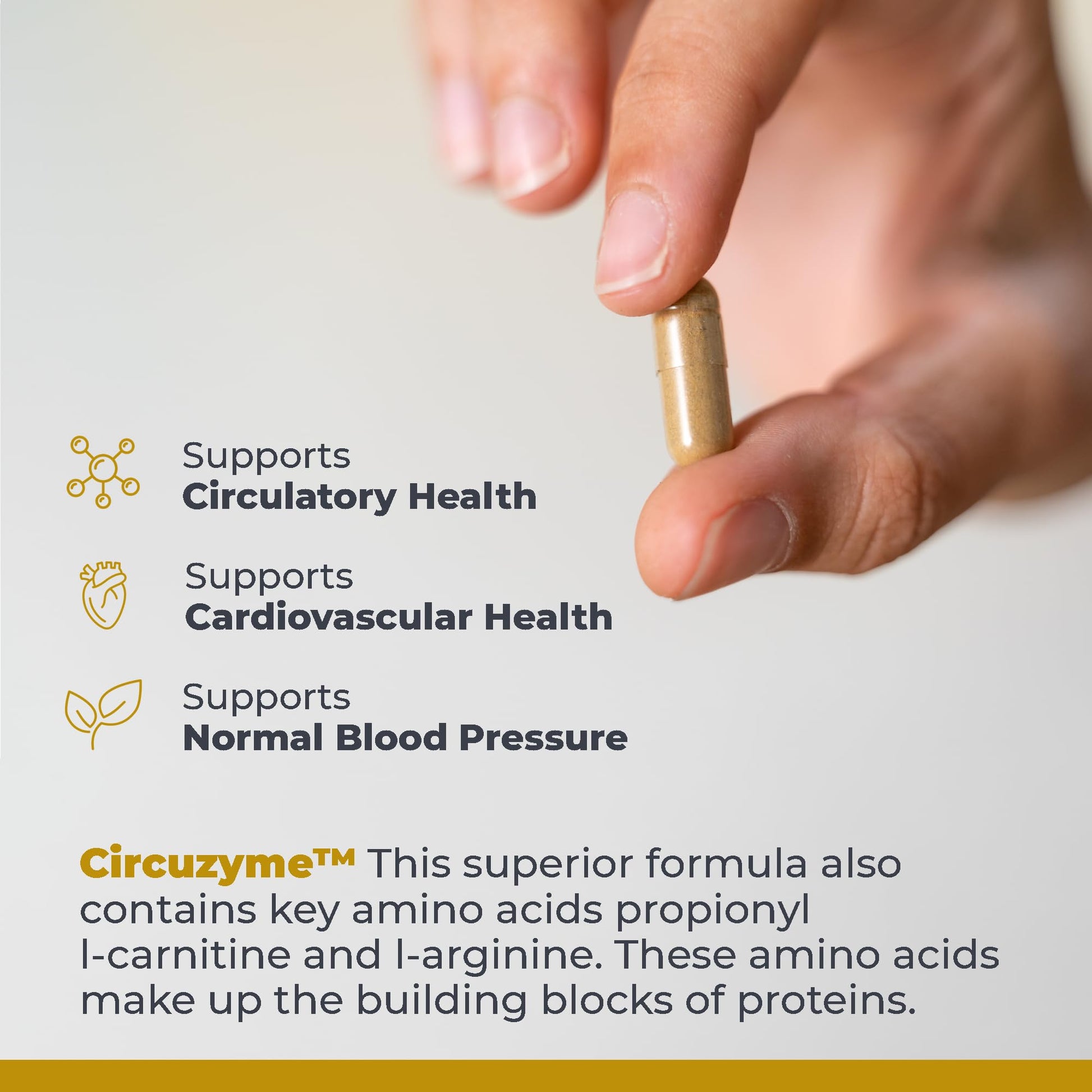 Premier Research Labs CircuZyme - Blood Circulation Supplements Supporting Blood Flow & Vascular Support Featuring Diosmin, Cayenne & Nattokinase, for Men and Women - 60 Vegetarian Capsules Premier Research Labs uk supplements