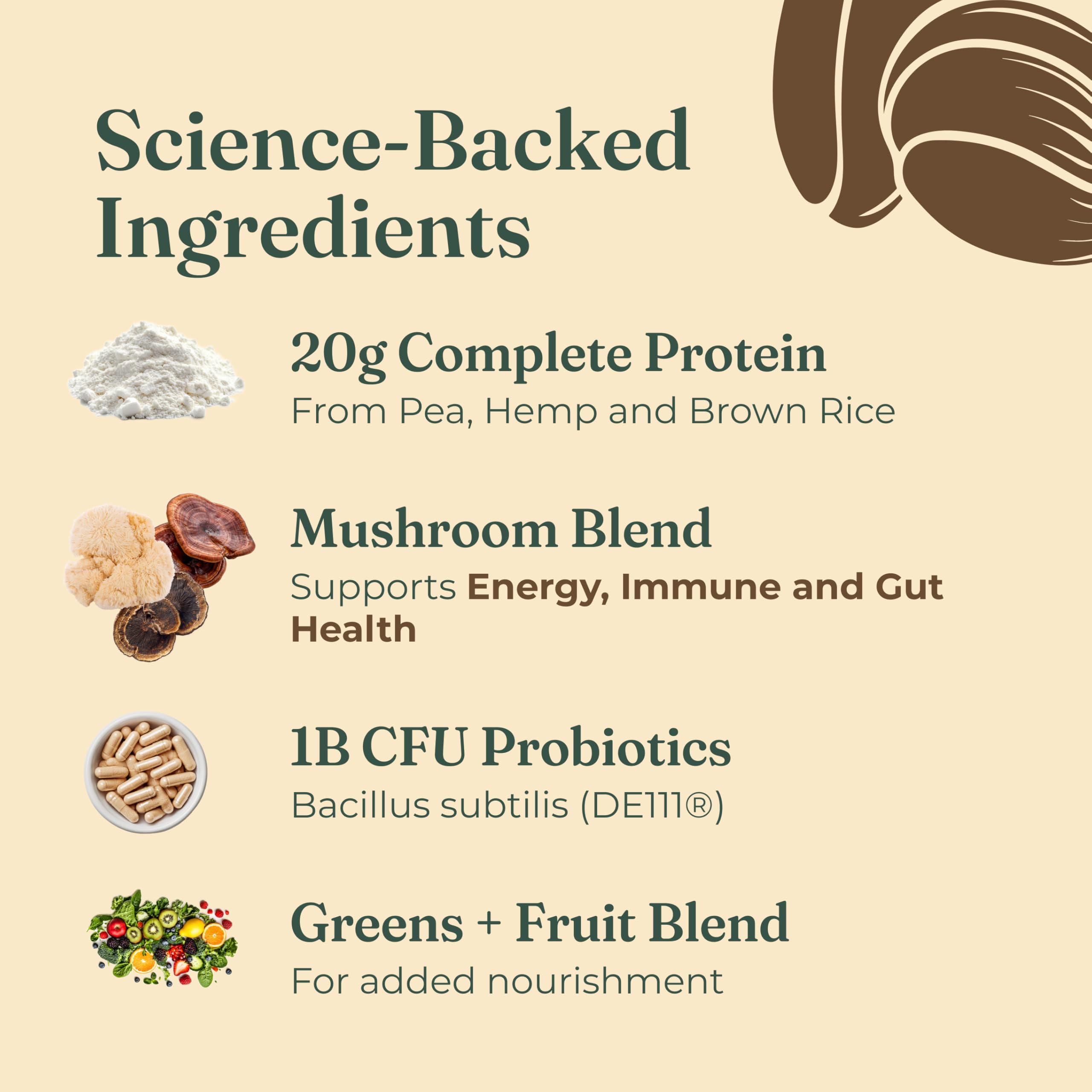 Four Sigmatic Organic Plant-Based Protein Powder | Clean Vegan Protein Elevated with Lion’s Mane, Chaga, Cordyceps and More for Brain Function and Immune Support | Creamy Cacao, 21.16 oz Four Sigmatic uk supplements