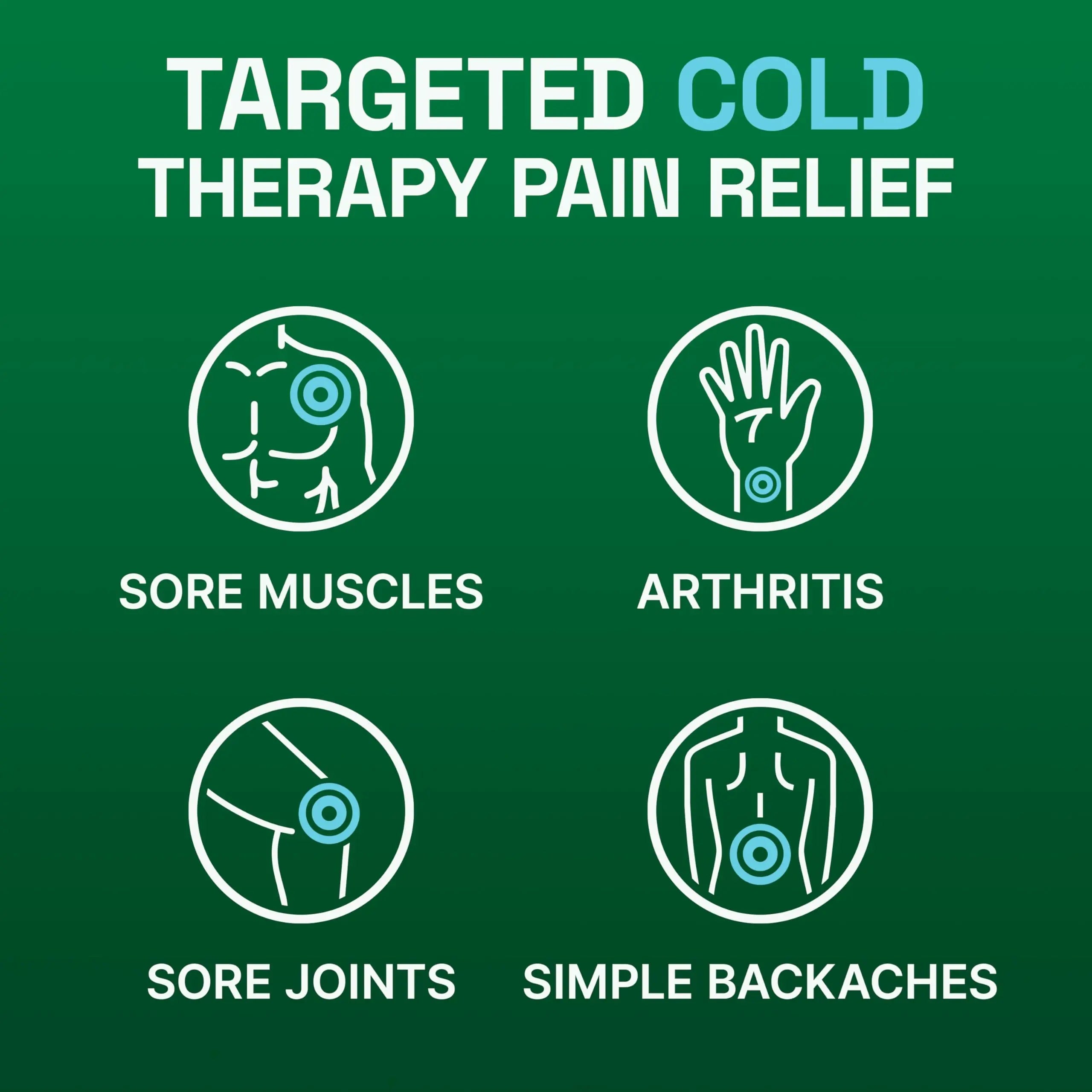 Biofreeze Pain Relief Spray, Arthritis Pain Reliever, Knee & Lower Back Pain Relief, Sore Muscle Relief, Neck Pain Relief, 2 Pack (4 FL OZ Biofreeze Menthol Spray) Biofreeze uk supplements
