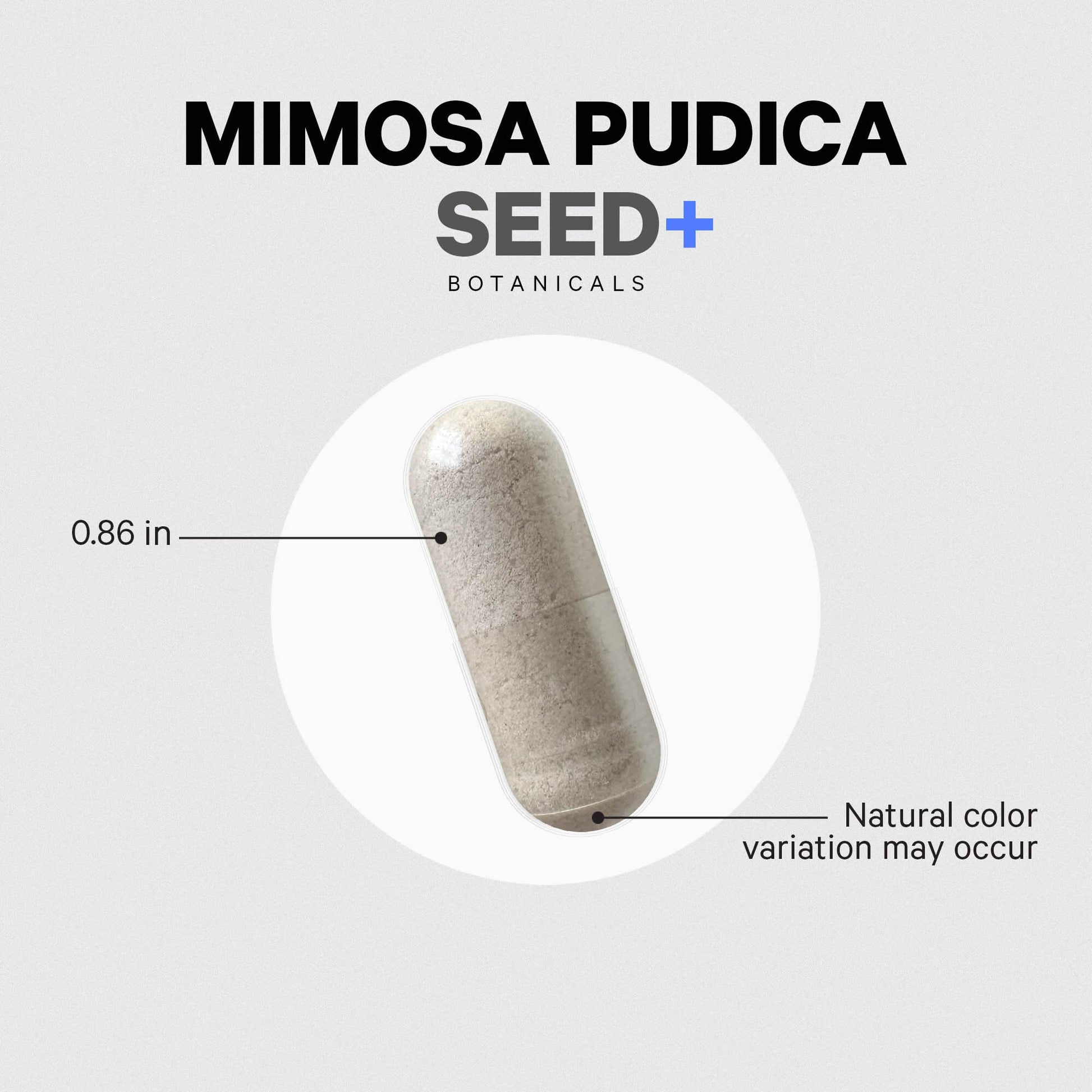 Codeage Organic Mimosa Pudica Seed Capsules - Mimosa Pudica Seeds Supplement - Black Walnut, Cloves, Vidanga, Neem, BioPerine - All in One - Sensitive Plant Pills - Non-GMO & Vegan - 120 Capsules Codeage uk supplements