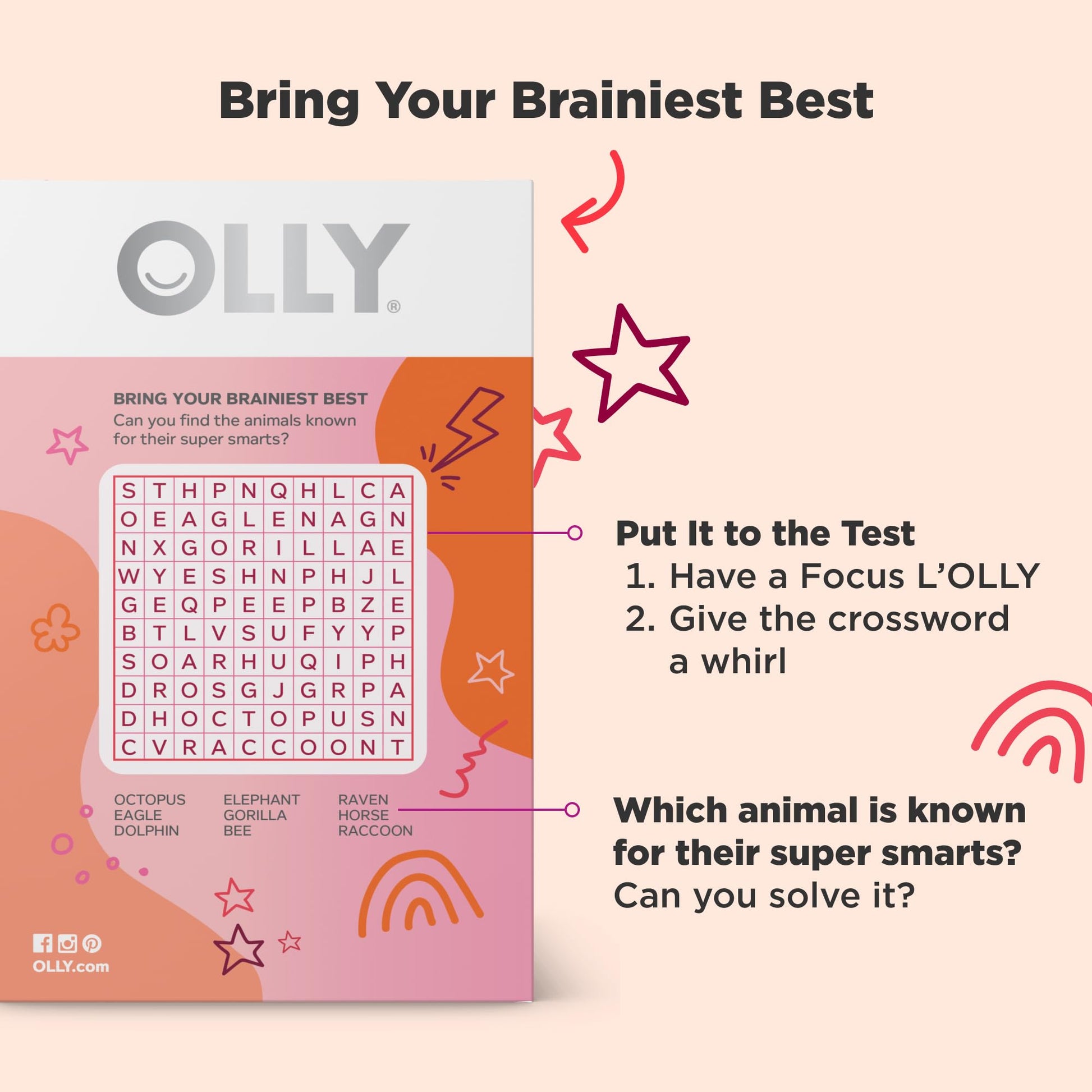 OLLY Focus Buddies L’OLLY Pops, Cognizin, Vitamins B6 and B12, Omega-3 ALA, Supports Focused Attention and Healthy Brain Function,* Kids 4+ Dietary Supplement, Watermelon Strawberry Flavored, 25 Count OLLY uk supplements