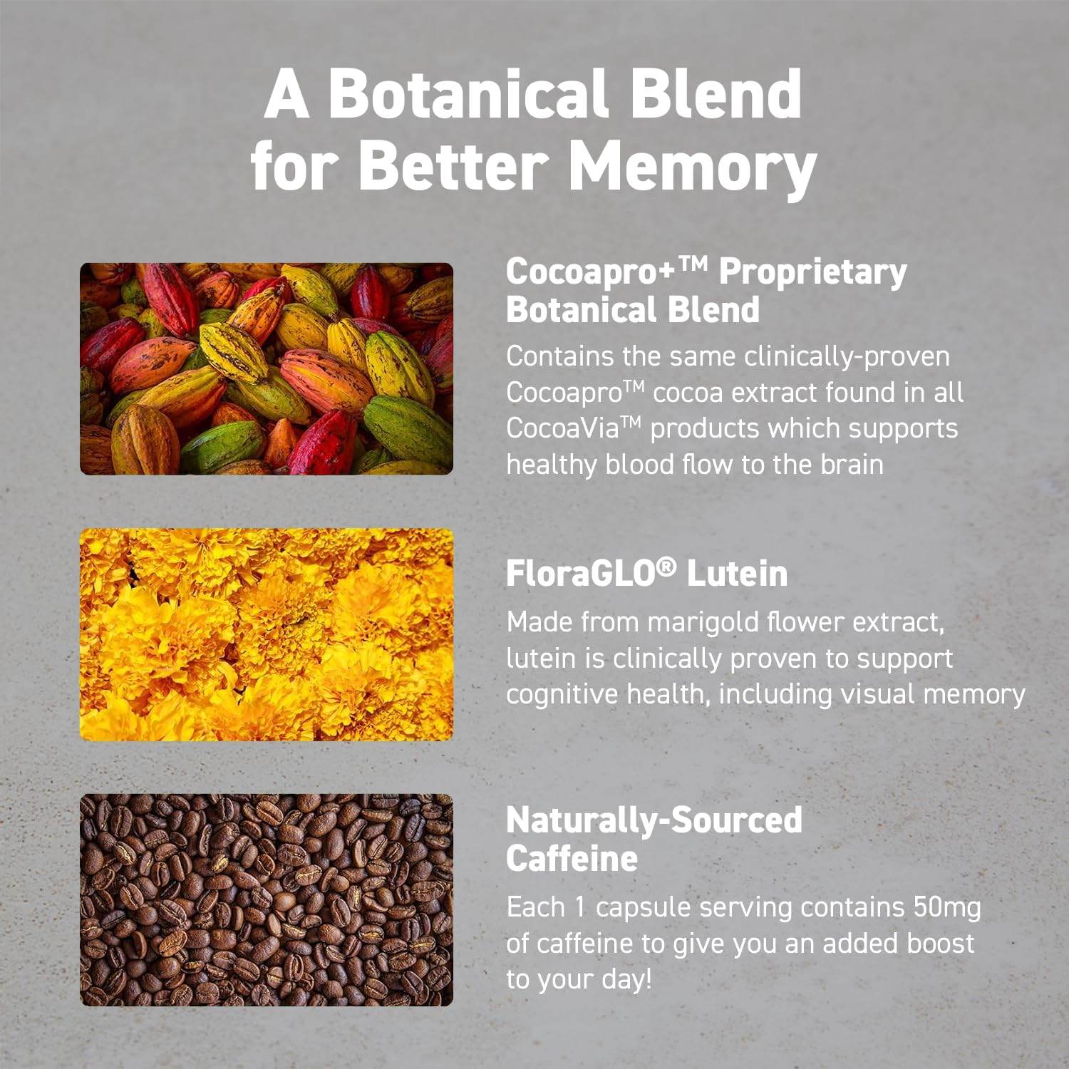 CocoaVia Memory & Focus Brain Supplement, 90 Day, Cocoa Flavanol Blend, Lutein, Added Caffeine for Boost. Improve Cognitive Function, Attention, Vegan & Plant Based, 90 Capsules CocoaVia uk supplements