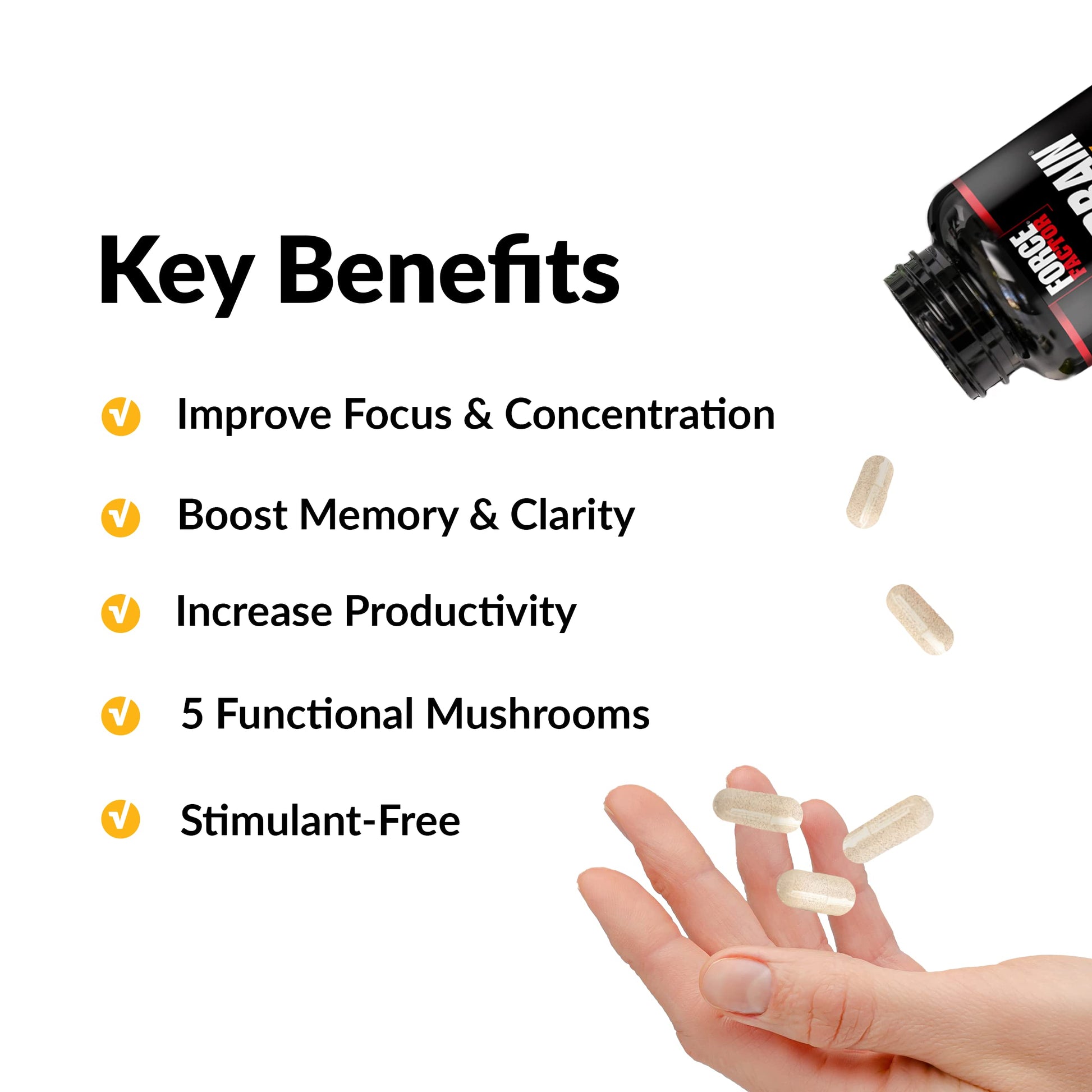 Forebrain Focus Brain Booster, Brain Supplement to Boost Clarity & Concentration, Improve Memory & Sharpness & Productivity, Nootropic Brain Support Supplement, Force Factor, 120 Capsules, Black Force Factor uk supplements