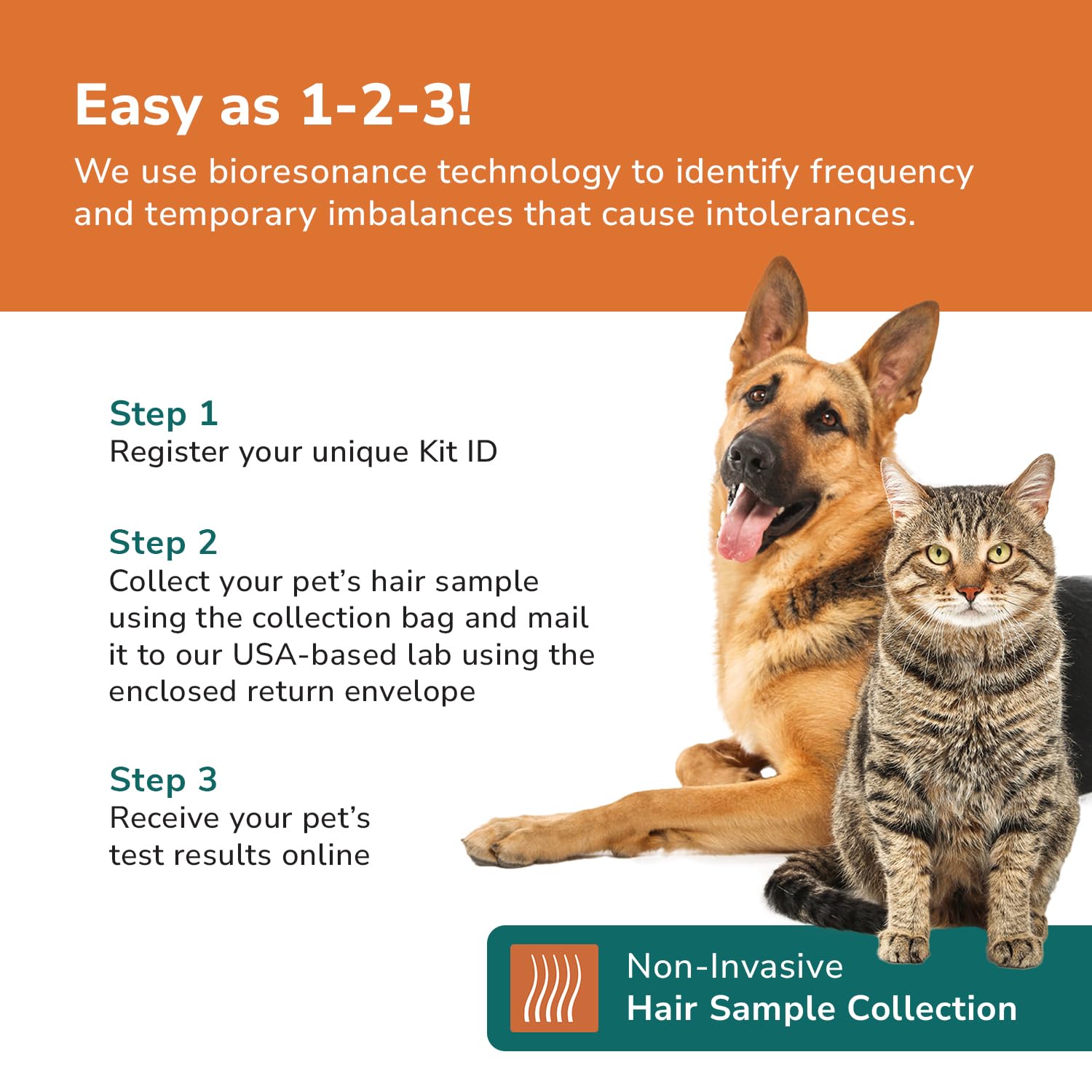 TotalVet Dog Allergy +1000 Food & Nutritional Sensitivity Test, Pet Intolerance Kit at Home — Advanced Complement to DNA Tests for Complete Pet Wellness TotalVet uk supplements