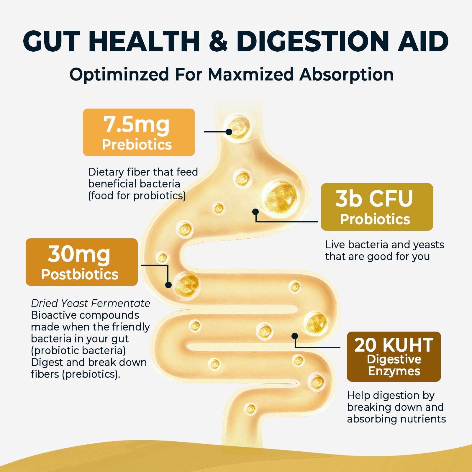 4-in-1 Prebiotic Probiotic & Postbiotic for Women & Men, Complete Gut & Digestive Support Supplement, Pre Post Probiotics & Digestive Enzymes 60 Capsules,Made in USA Divinity Nutra uk supplements