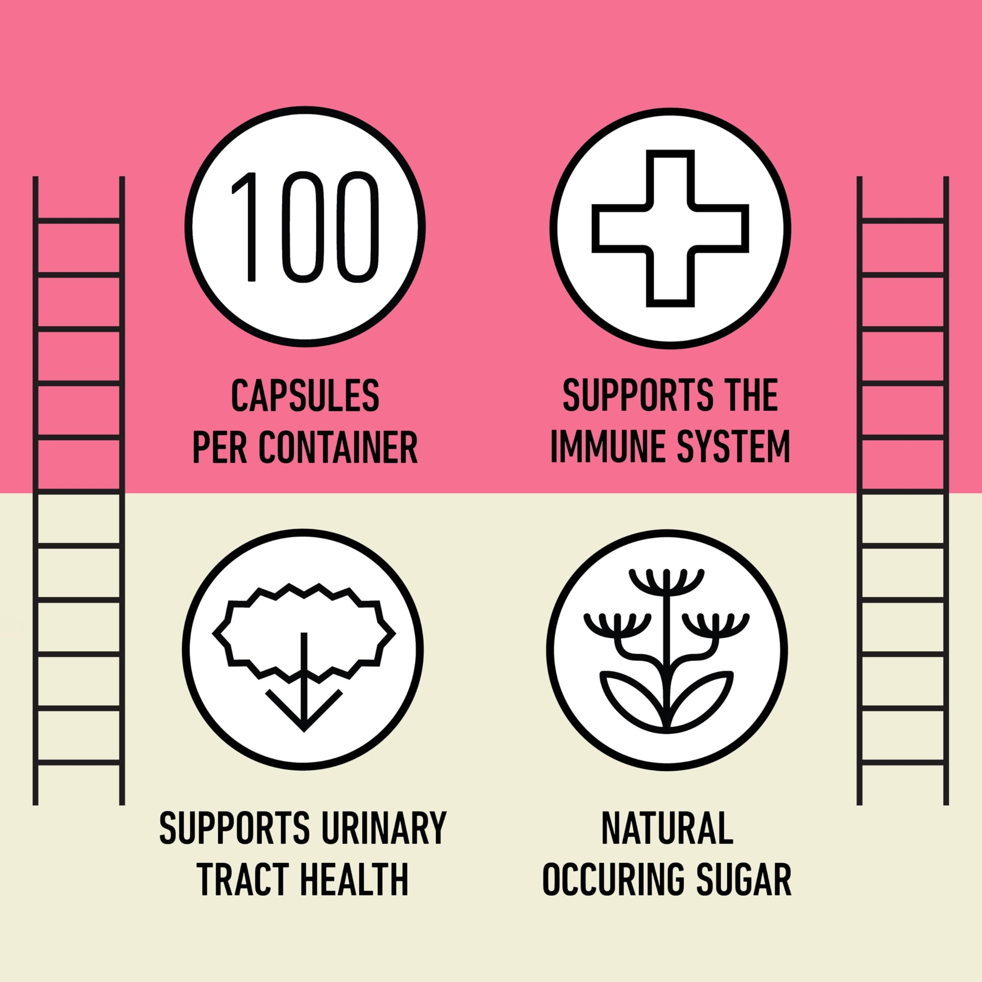 D Mannose 520mg Capsules - Organic D Mannose Supplement for UTI Support, Urinary Tract Bladder Health Pills, Plant Based Formula, Vegan Non GMO, No Fillers, 100 Capsule Count Made USA Certified Kosher Complete Natural Products uk supplements