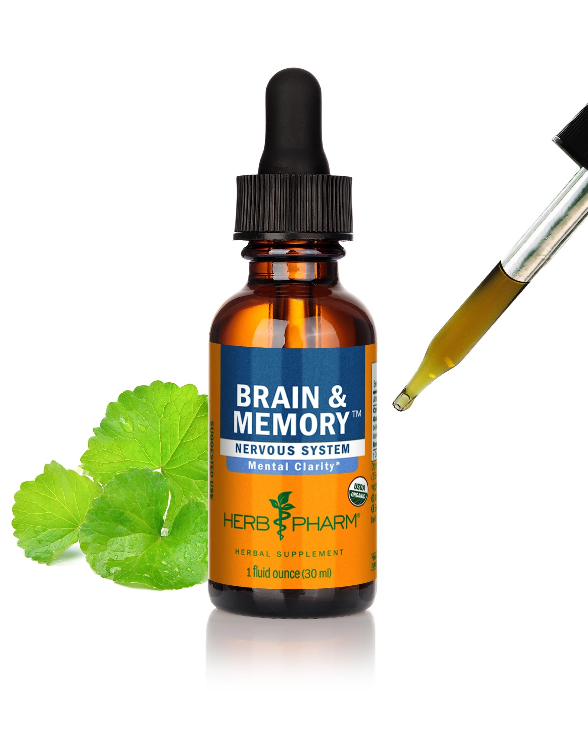Herb Pharm Organic Nootropic Brain & Memory Supplement with Ginkgo Biloba Liquid Extract: Fast Absorption for Mental Focus Support, Ginkgo Supplement, Vegan, Gluten-Free, Non-GMO, 1 Oz Herb Pharm uk supplements
