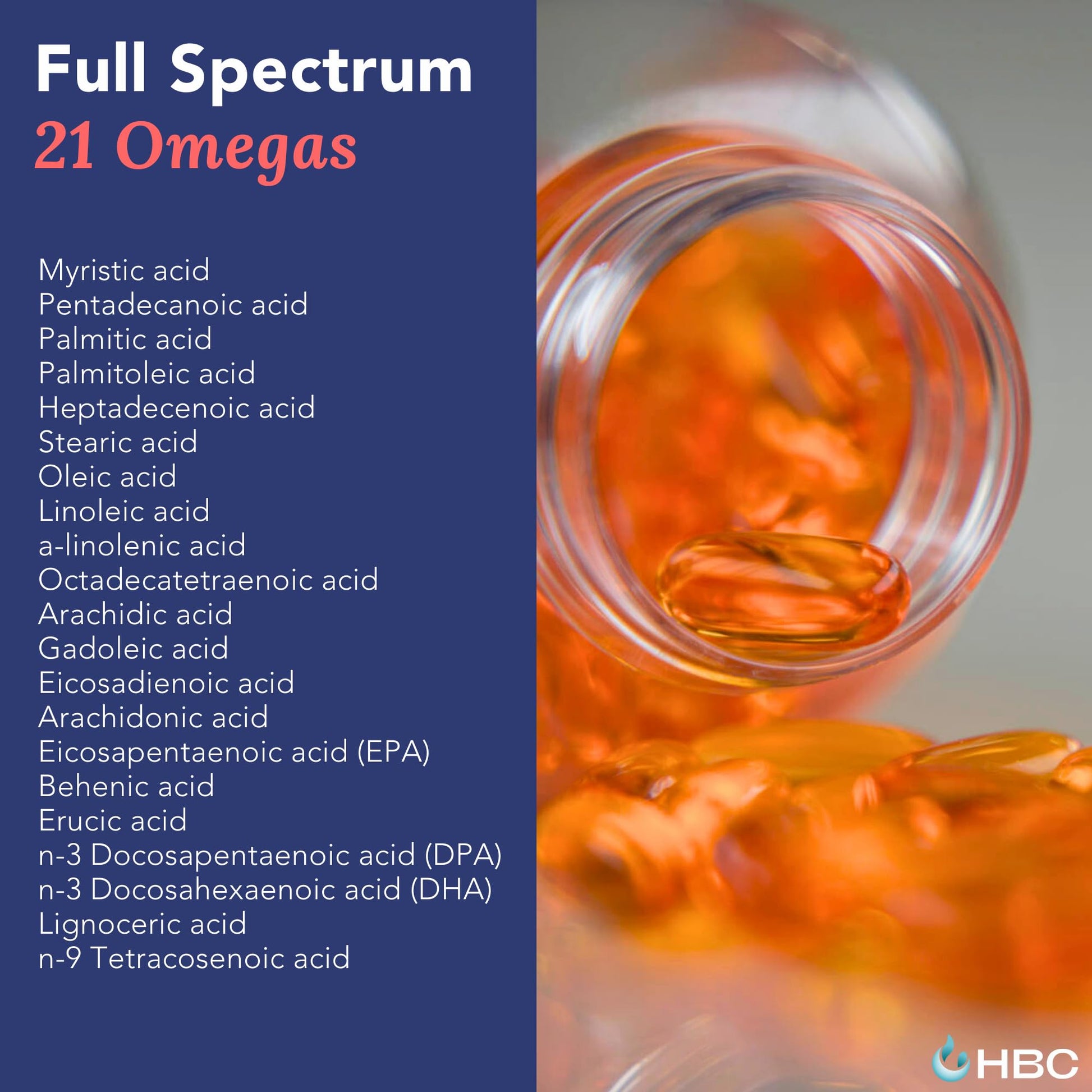 High Strength Omega 3 Fish Oil - 1000mg, Norwegian Salmon Oil with EPA & DHA, No Burping or Aftertaste, Omega 3 Fatty Acids Supplement for Eye, Brain & Heart, Triglyceride Form - 180 Capsules Hofseth BioCare uk supplements