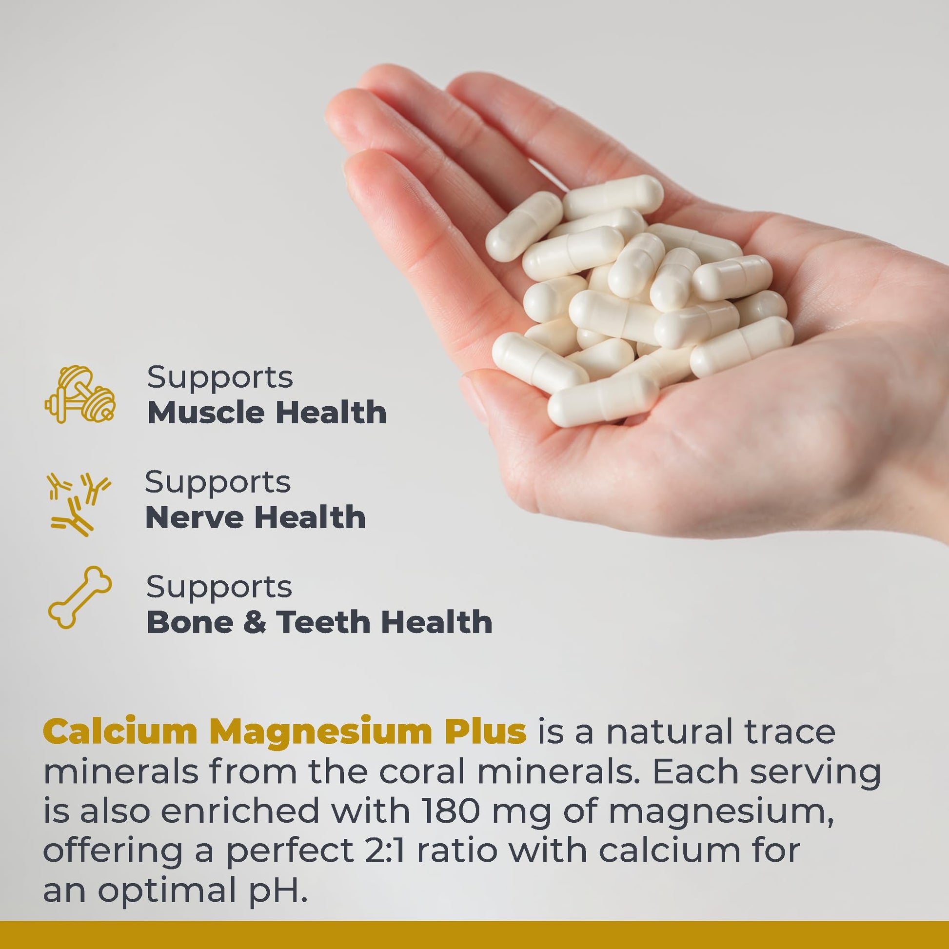 Premier Research Labs Calcium Magnesium Plus - Calcium Magnesium Supplement, Calcium Supplement for Bone Health, with Mushroom Complex - Reishi & Lions Mane - 90 Vegetarian Capsules Premier Research Labs uk supplements