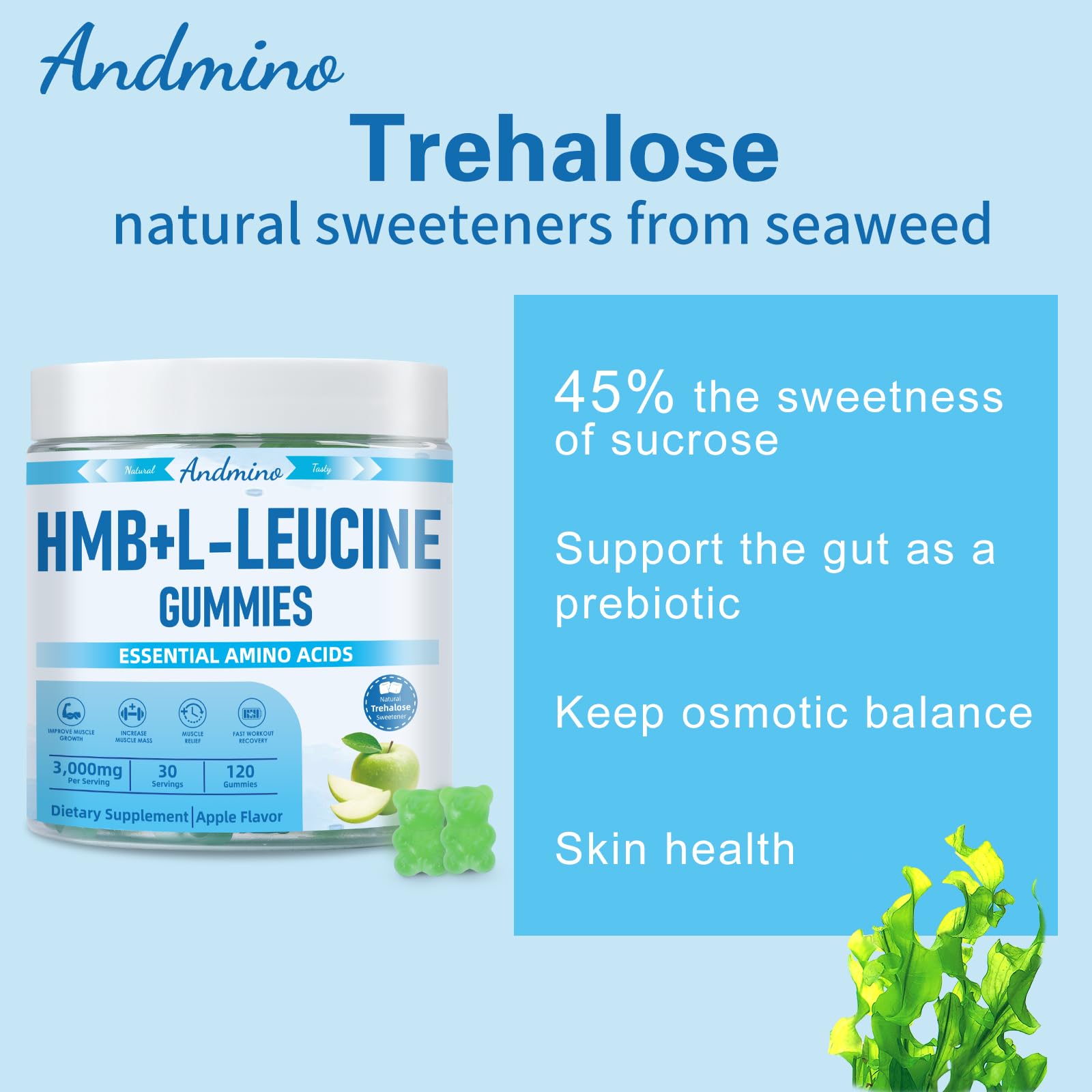 andmino HMB and L-Leucine Gummies, 3000mg, with Trehalose, for Muscle Growth, Muscle Relief and Workout Recovery, for Adults & Elder, Non-GMO andmino uk supplements