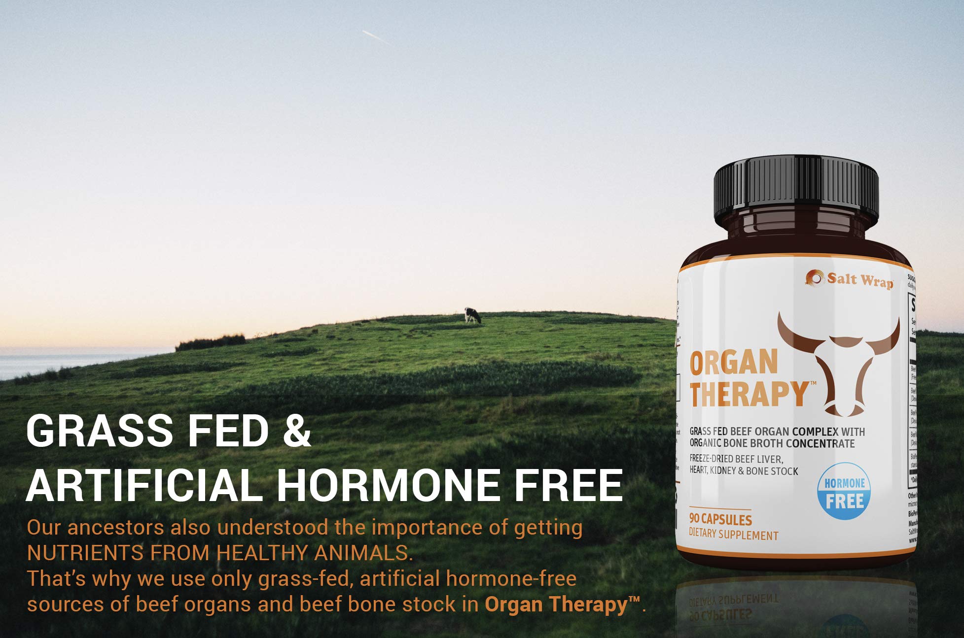 SaltWrap Organ Therapy - Grass Fed Beef Organ Meat Complex Supplement with Organic SaltWrap uk supplements