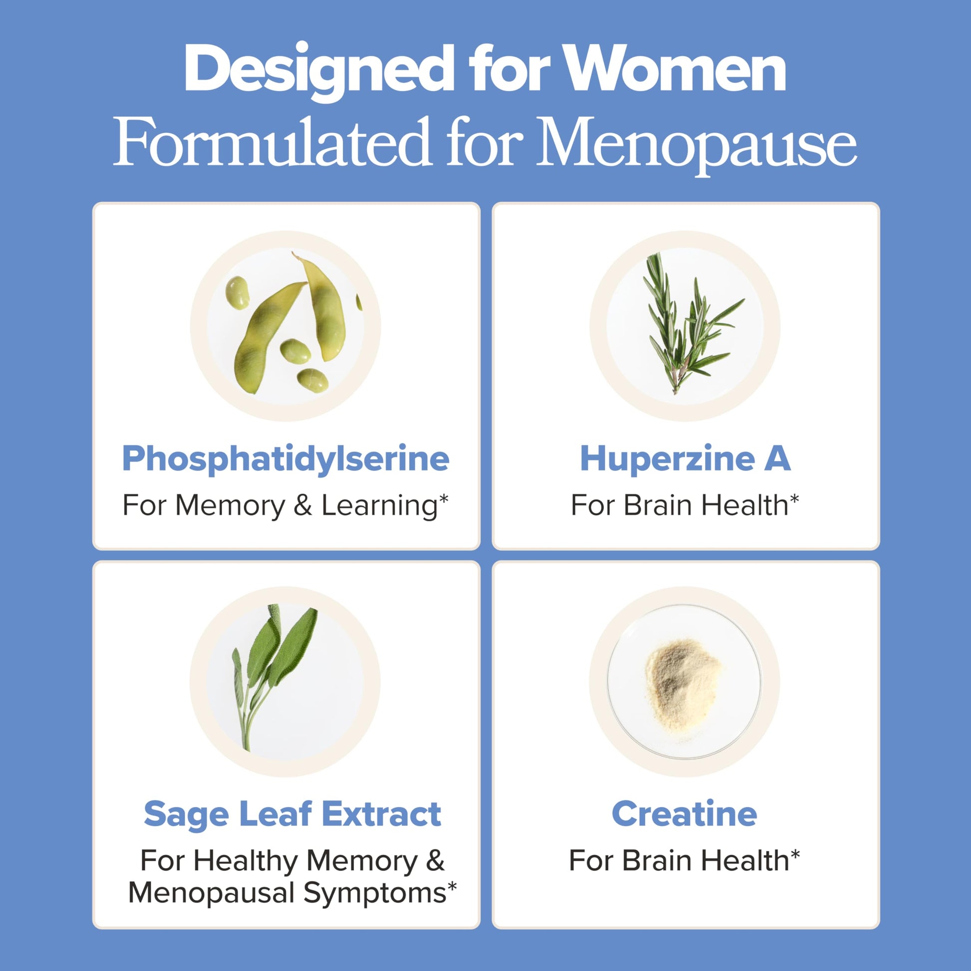 MENO Brain Health + Memory Support Capsules – Daily Support for Cognitive Performance, Concentration & Healthy Brain Aging – with Phosphatidylserine, Creatine, Sage Leaf & Huperzine A – 30 Servings O Positiv uk supplements