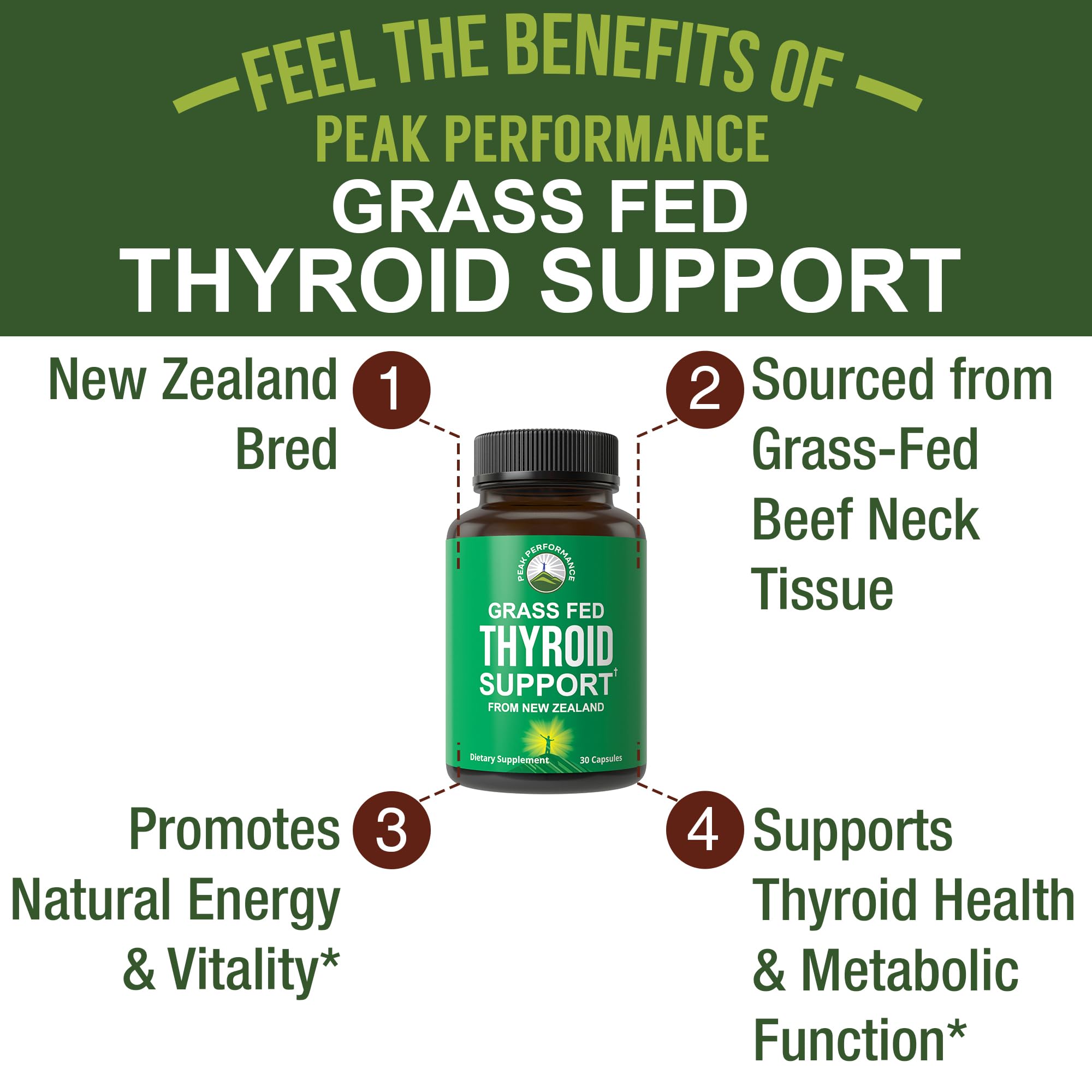 Raw Desiccated Thyroid Supplement. Grass Fed New Zealand Beef Neck & Thyroid Gland Capsules for Women and Men. Ancestral Living Ethically Sourced Bovine Supplements for Energy and Metabolism Support Peak Performance uk supplements