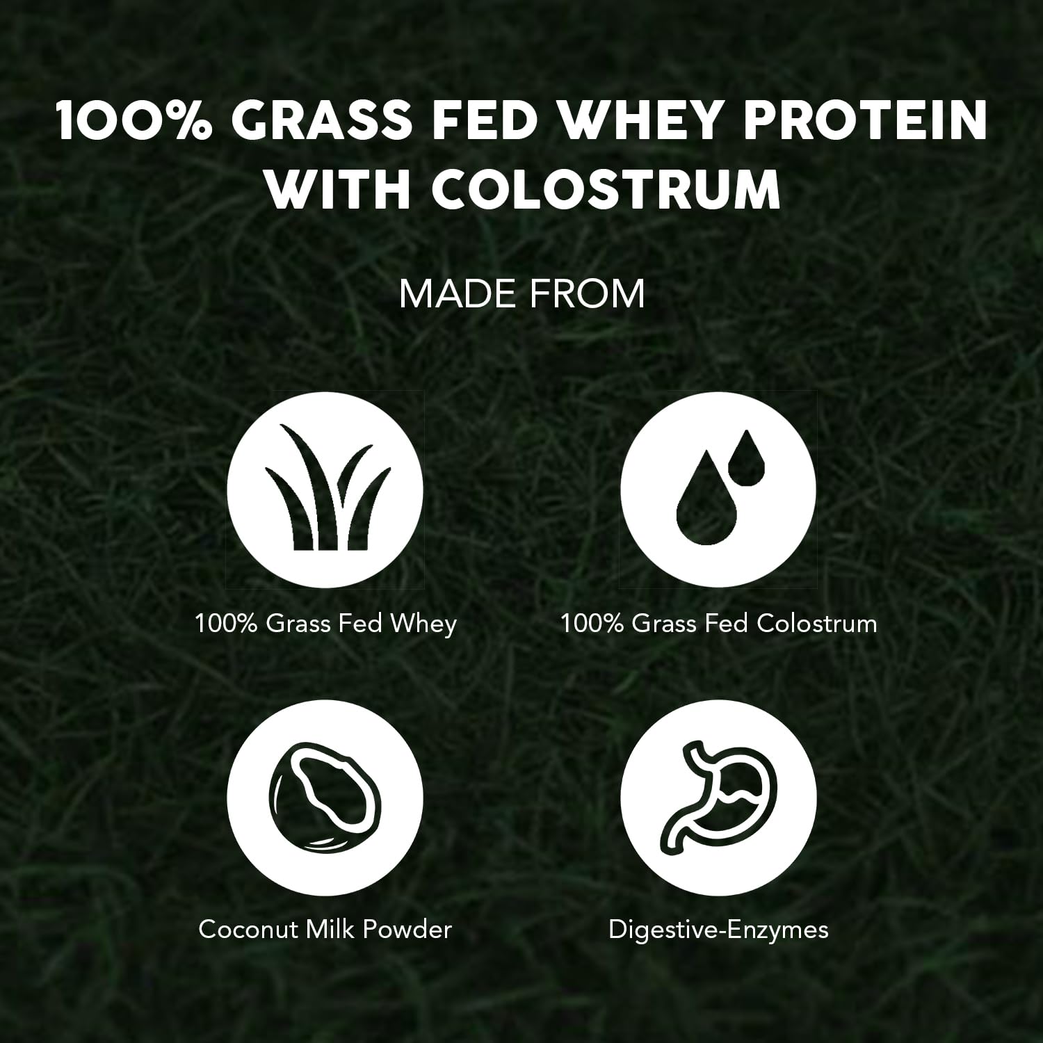 Paleovalley 100% Grassfed Whey Protein Powder with Colostrum, 30 Serving - Vanilla, 13g Protein, Muscle Building, Immune Support, Gut Health Paleovalley uk supplements