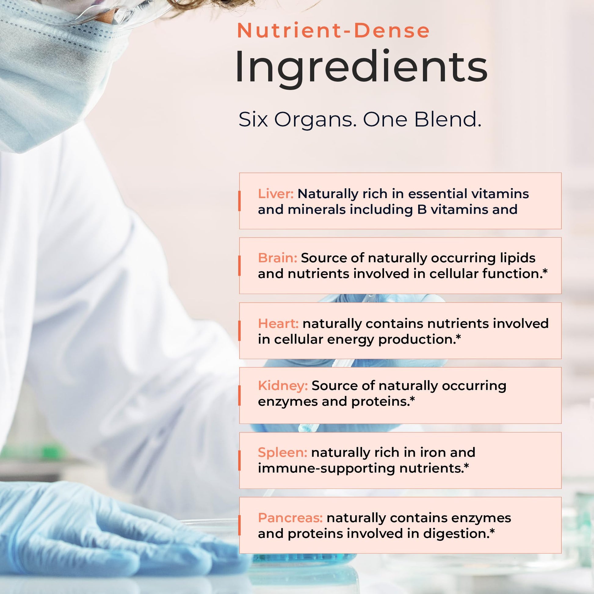 Molecular Fertility Beef Organ Complex - Pasture-Raised, Grass Fed Beef Liver, Brain, Heart, Spleen, Pancreas Blend, Healthy Hormone Balance and Fertility Supplement for Women and Men, 180 Capsules Molecular Fertility uk supplements