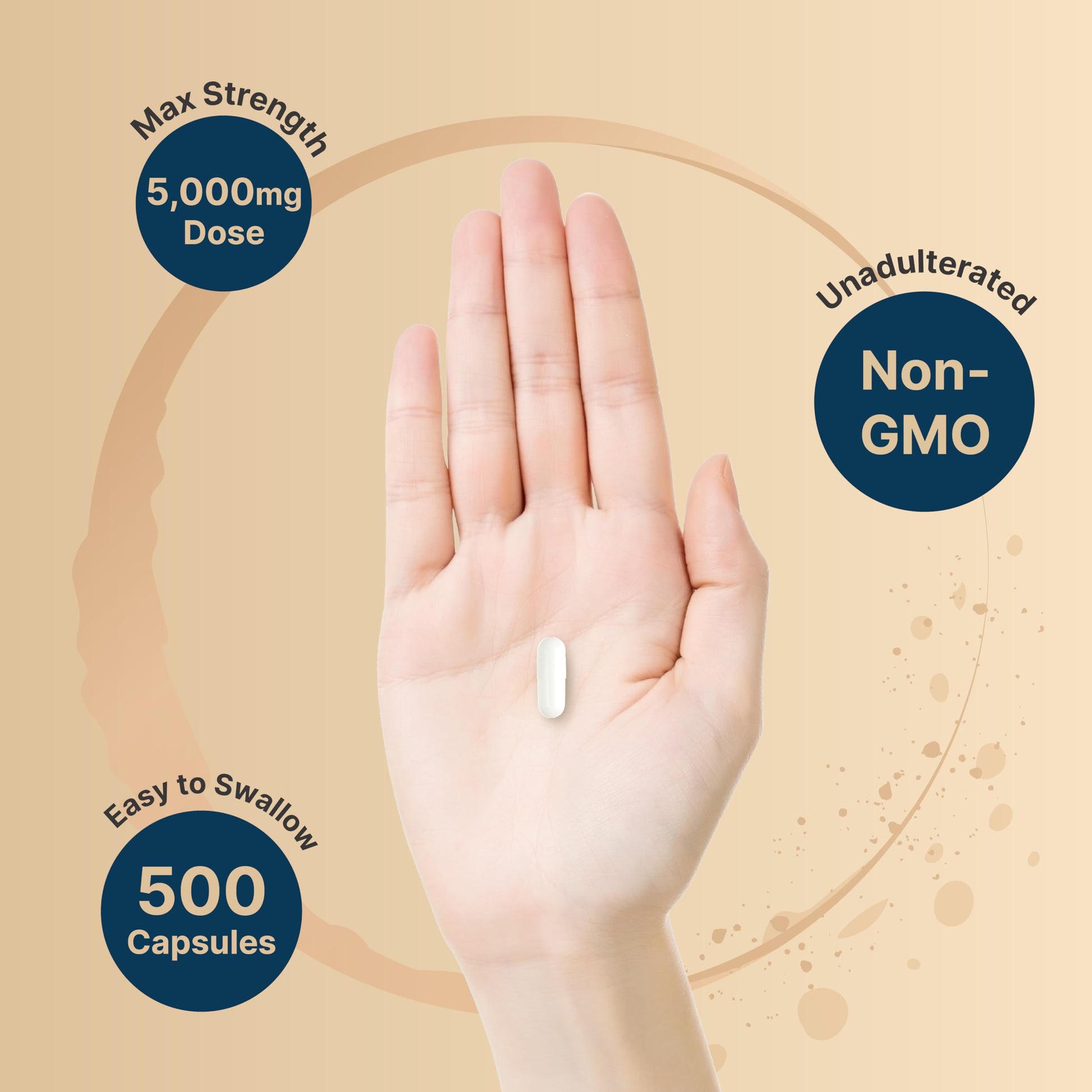 NatureBell Creatine Monohydrate Capsules 5,000mg Per Serving, 500 Count | Micronized, Unflavored Creatine Pills | Pre-Workout & Muscle Strength Support NatureBell uk supplements