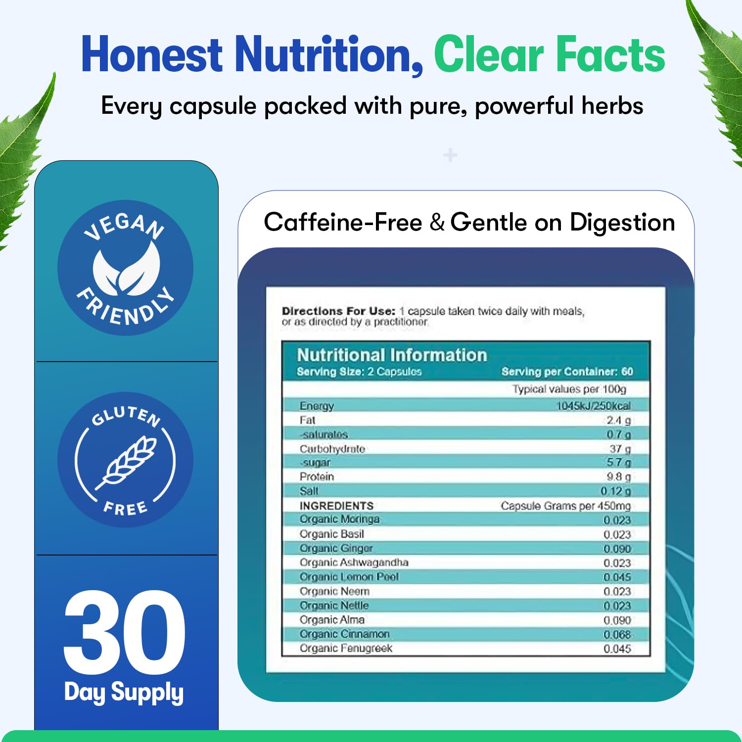 Zyzven Naturals Blood Sugar Support Supplement – 60 Vegan Capsules | Herbal Supplement with Moringa, Cinnamon, Ginger, Neem & Fenugreek | Plant-Based Wellness Supplement - Serving: 2 Capsules/Day Zyzven Naturals uk supplements
