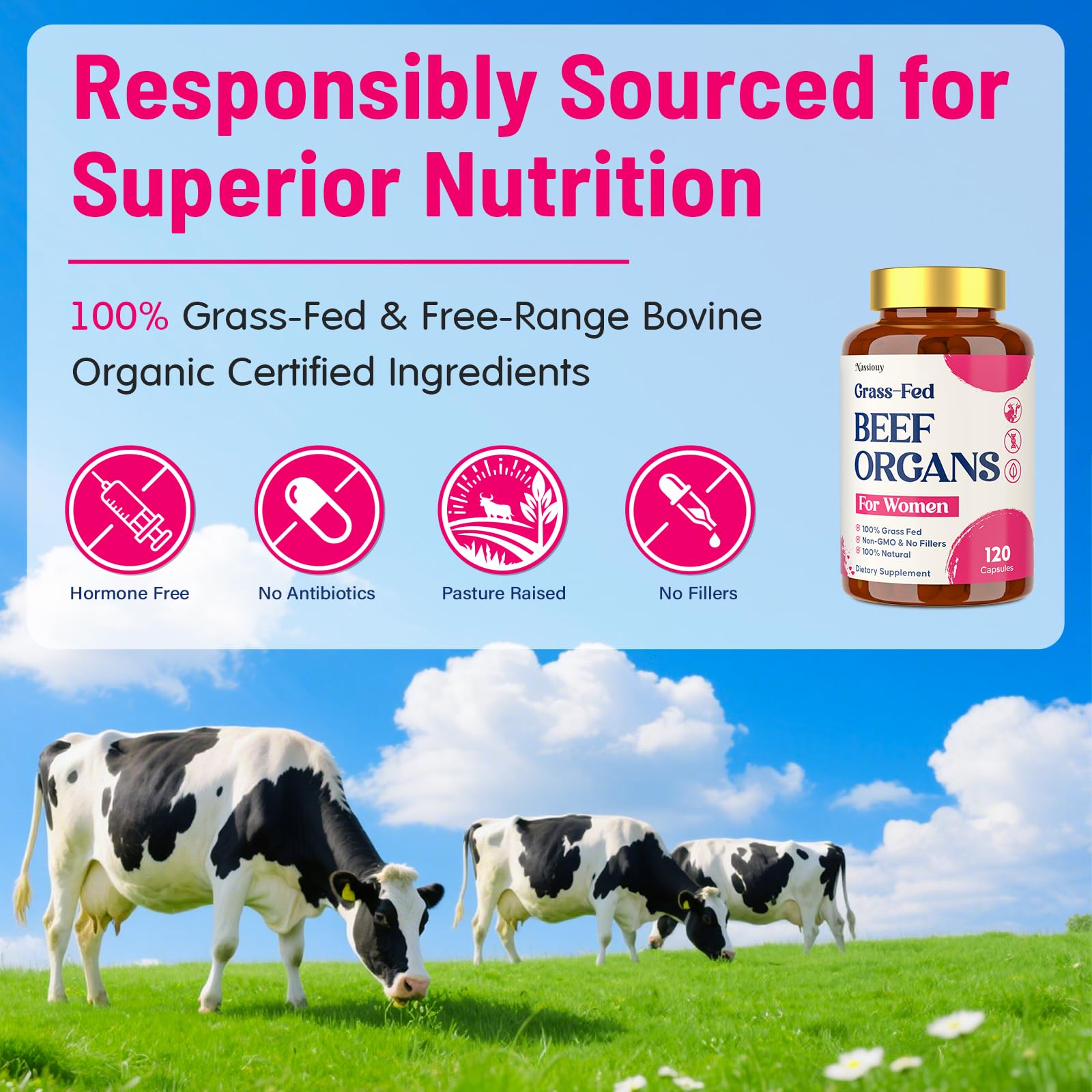 12-In-1 Beef Organ Supplement for Women - Beef Liver, Uterus, Kidney, Heart, Pancreas, 5 Vitamins & 2 Herbs, Hormone Balance, Menstruation, Energy, Immune - 100% Grass Fed, Pasture Raise - 120 Caps Nassiouy uk supplements