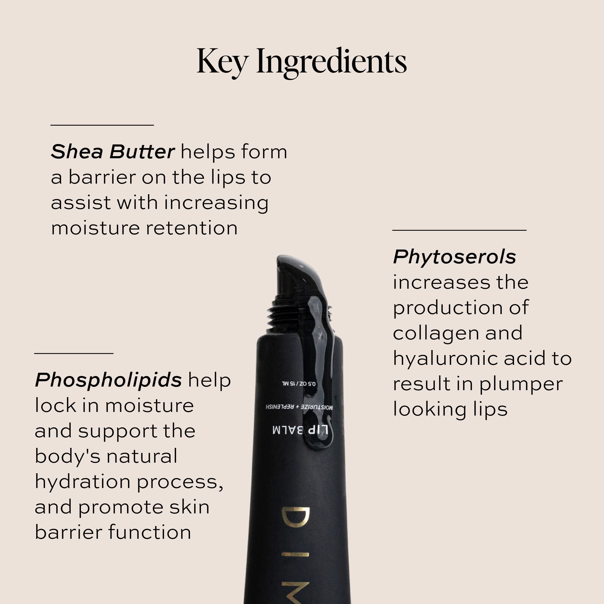 DIME Beauty Lip Balm, Hydrating Lip Balm and Gloss, Vegan & Cruelty-Free, Anti-Aging Lip Care, .5 oz / 15 ml DIME uk supplements