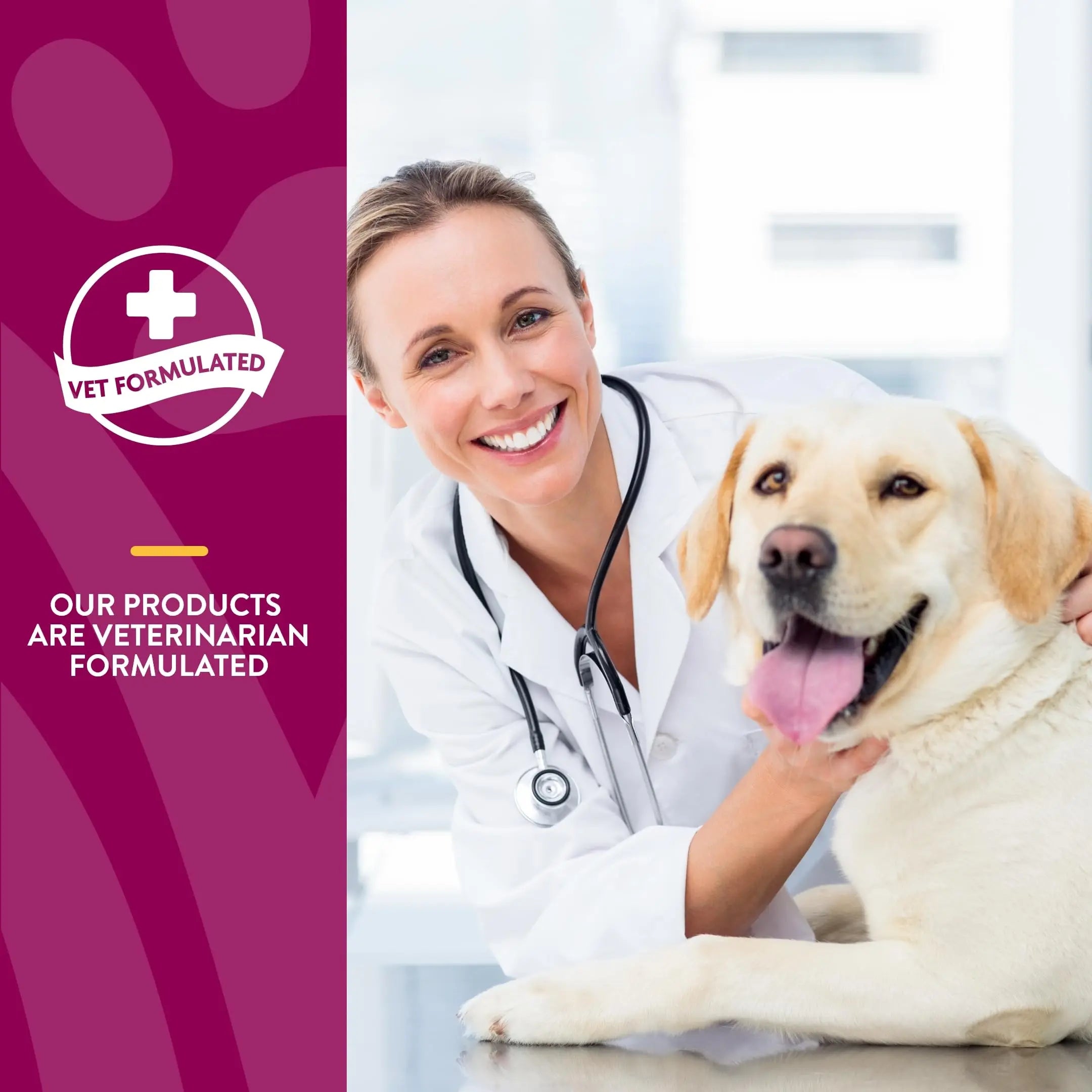 NaturVet – Glucosamine DS Plus - Level 2 Moderate Care – Supports Healthy Hip & Joint Function – Enhanced with Glucosamine, MSM & Chondroitin – for Dogs & Cats – 240 Soft Chews NaturVet uk supplements