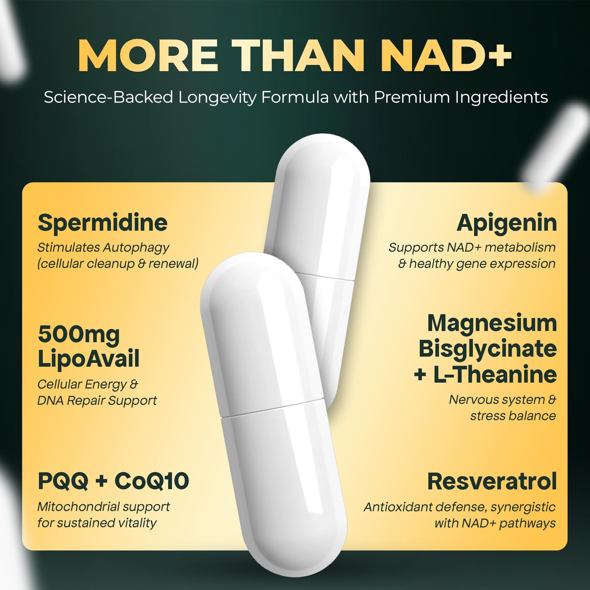 UPLIFE NAD+ Supplement 1,372mg – Liposomal NAD+ with CoQ10, Resveratrol, Spermidine, L-Theanine, Apigenin & PQQ – NMNH Alternative Booster Cellular Energy, Healthy Aging, Immune Health – 120 Capsules UPLIFE uk supplements