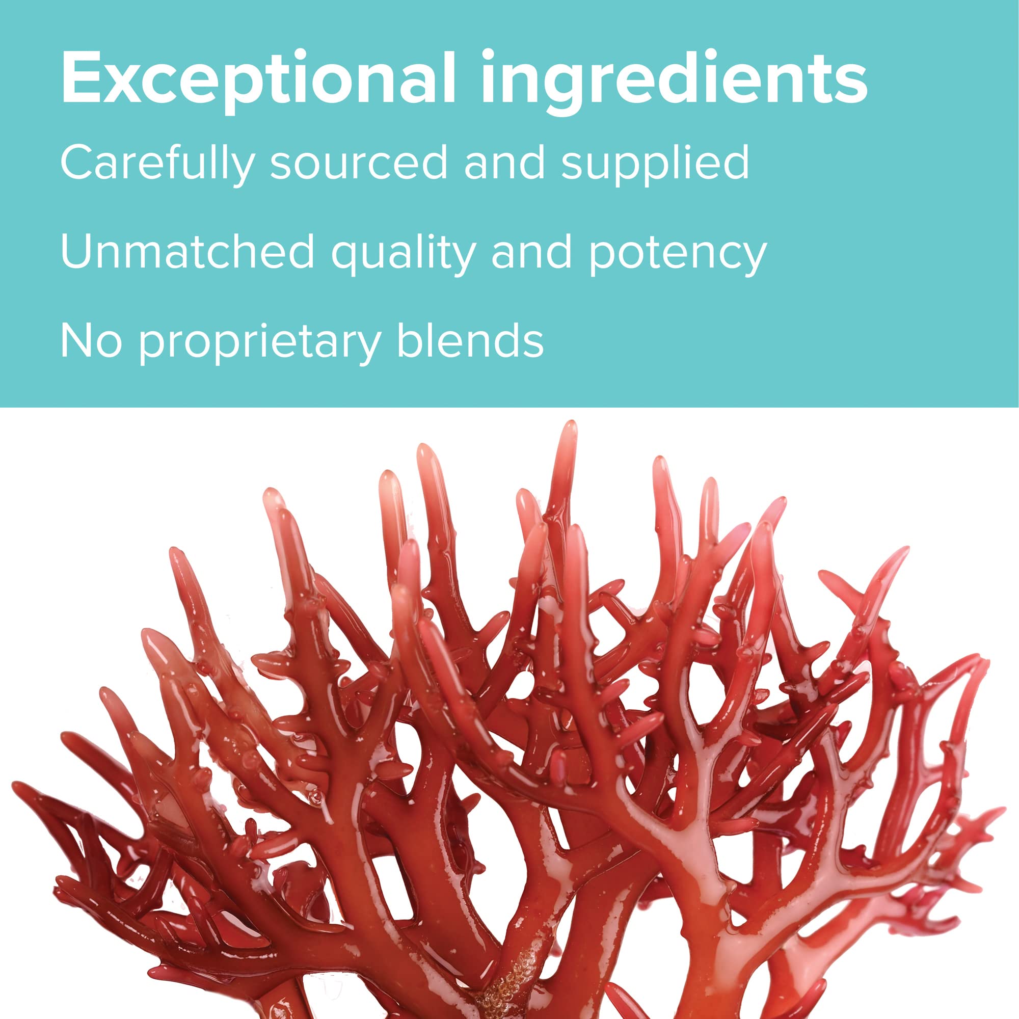 Vibrant Health, Gigartina Red Marine Algae, Plant-Based Immune Support, 60 Capsules Vibrant Health uk supplements