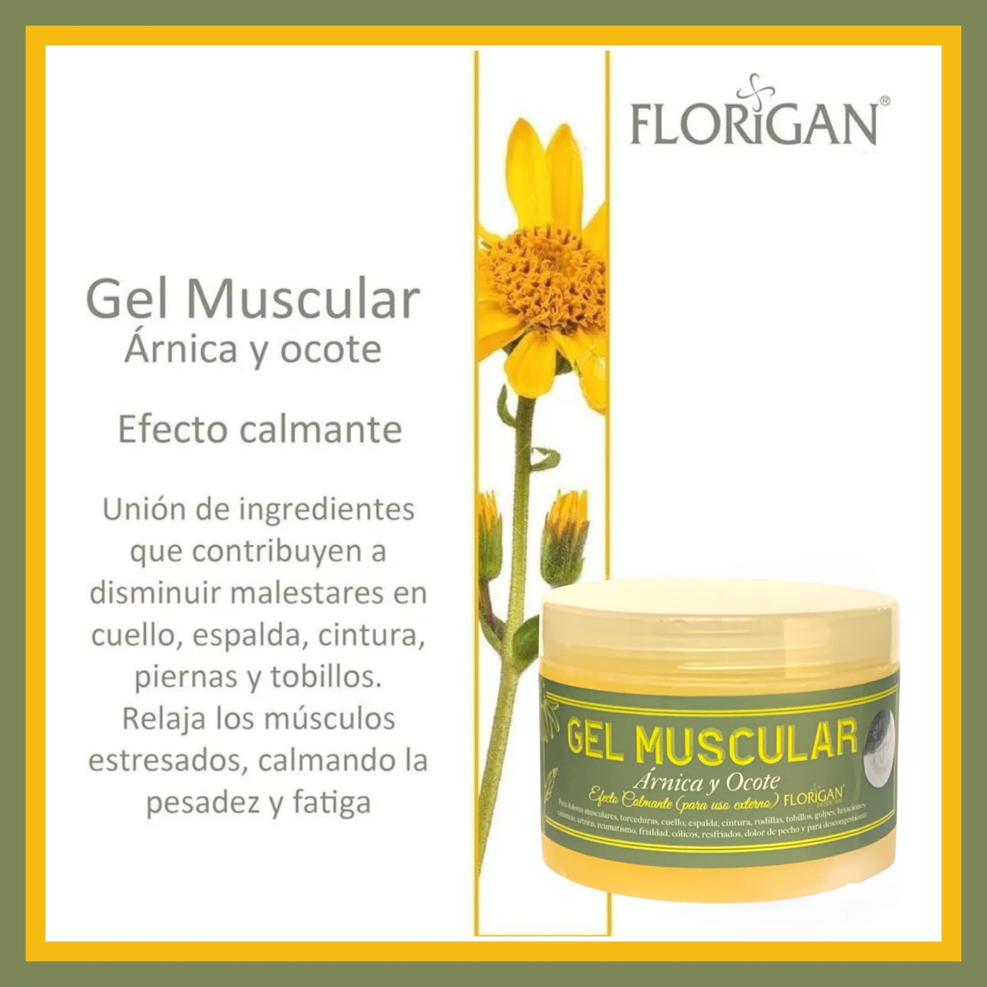 Arnica and Ocote Muscle Gel 350grs. Florigan uk supplements