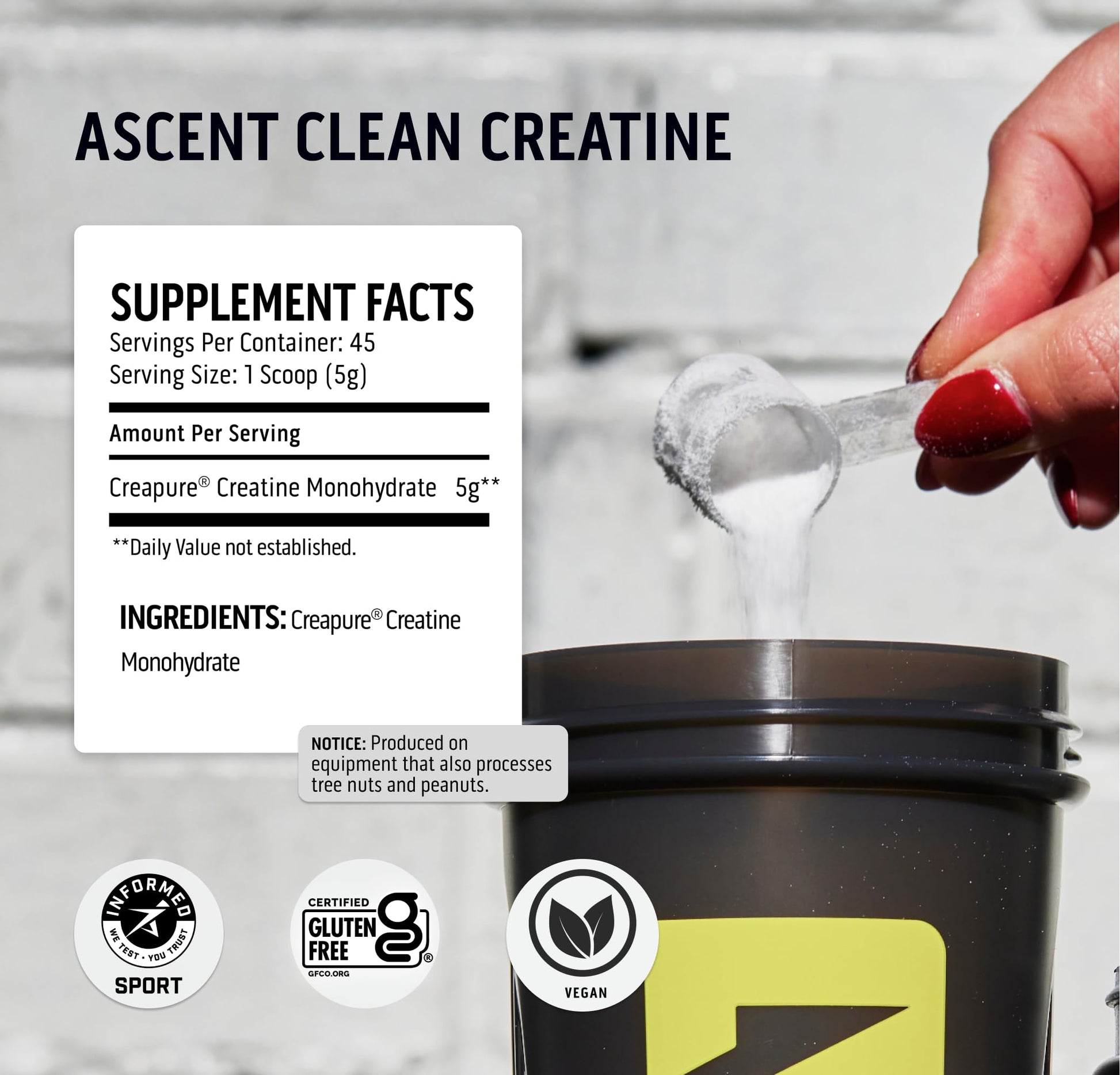 Ascent Clean Creatine Monohydrate Powder - 5G Per Serving, Creapure Creatine Supple Ascent uk supplements