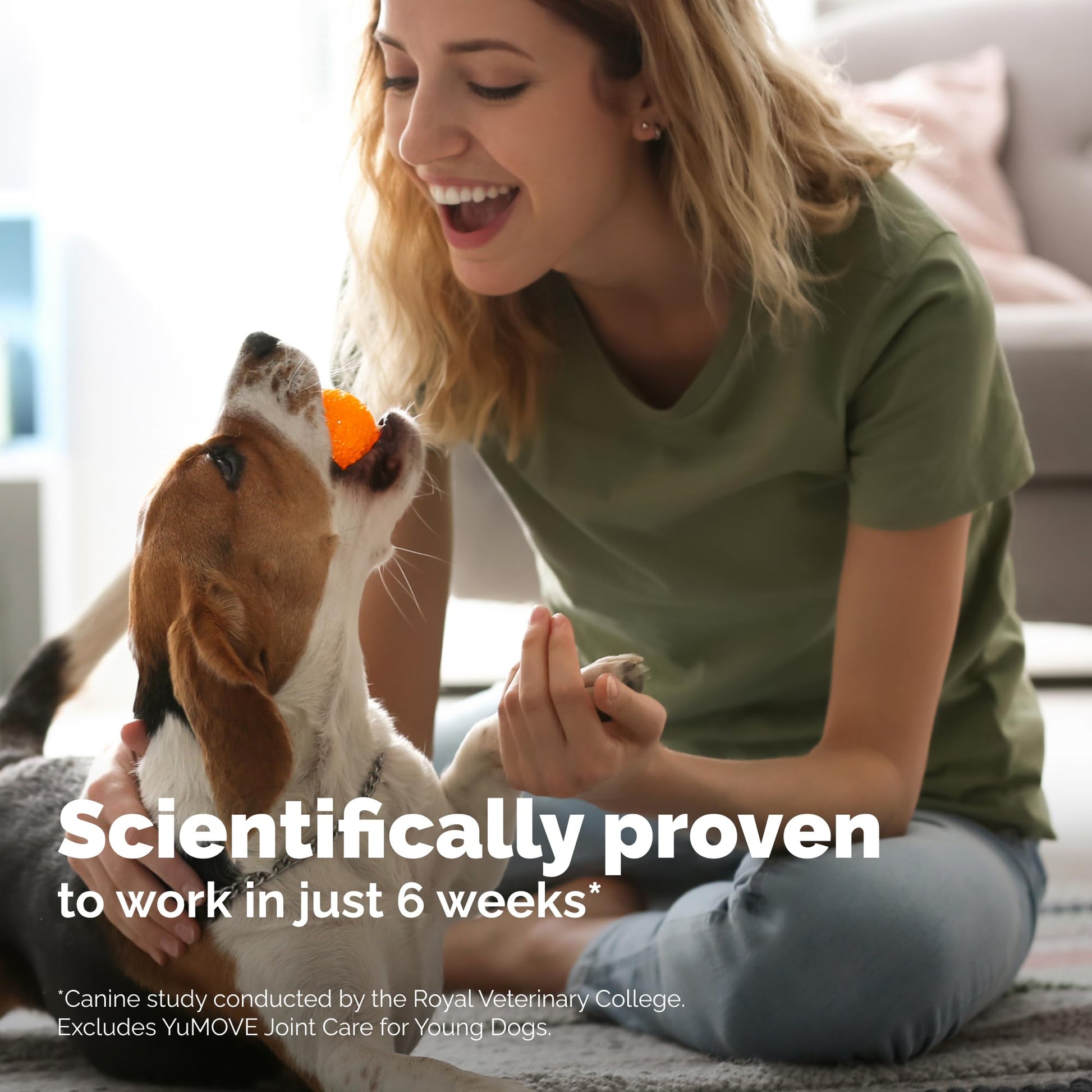 Yumove Hip & Joint Supplement for Dogs with Glucosamine, Hyaluronic Acid, Green Lipped Mussel & Omega 3 Joint Supplement - Regular or Advanced Strength (90 Count, Advanced Vet Strength Soft Chews) YuMOVE uk supplements