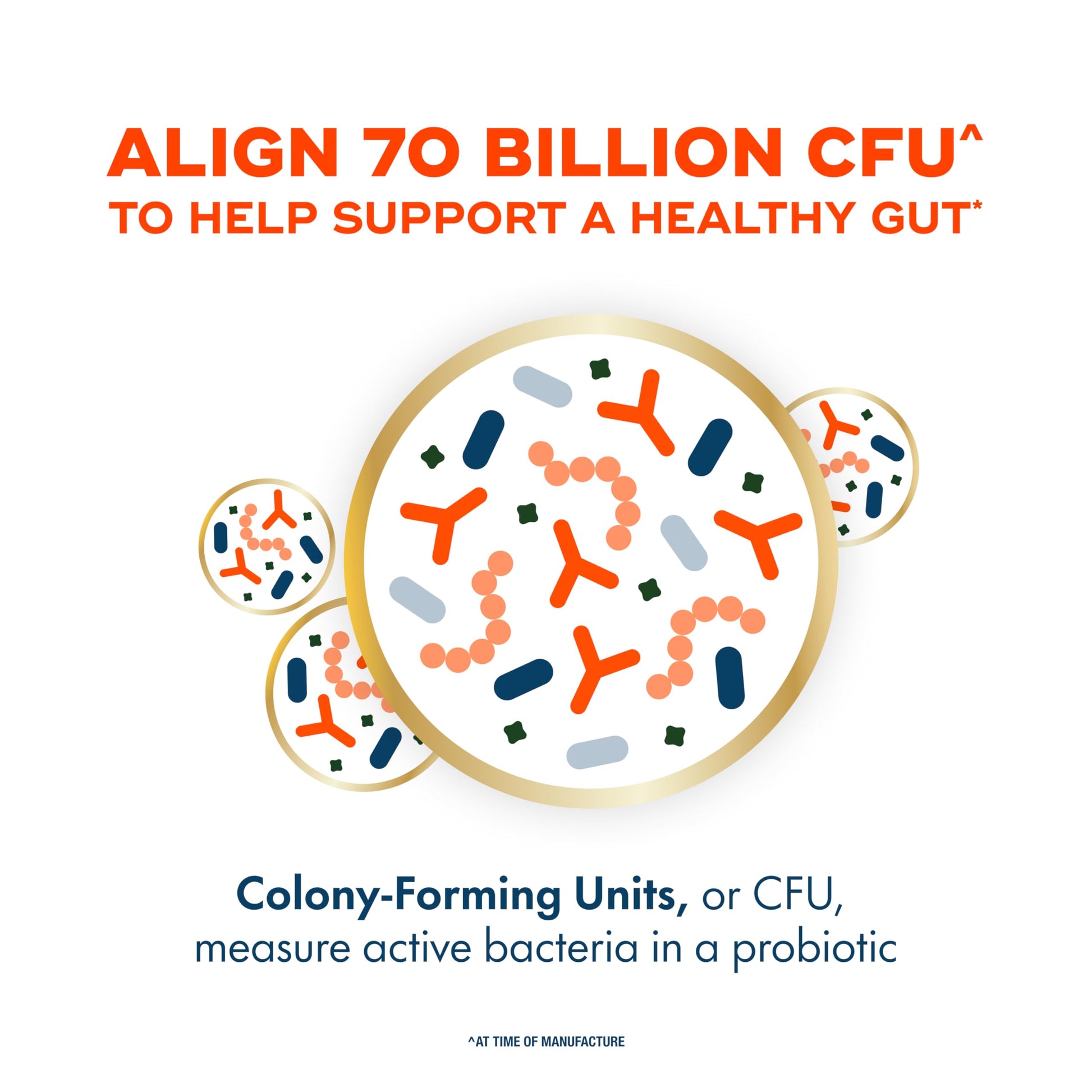 Align Probiotic, 70 Billion CFU, 6 Strain Blend, Probiotics for Women and Men, Daily Probiotics for Digestive Health, Helps Relieve Occasional Bloating & Gas 30 Capsules Align uk supplements