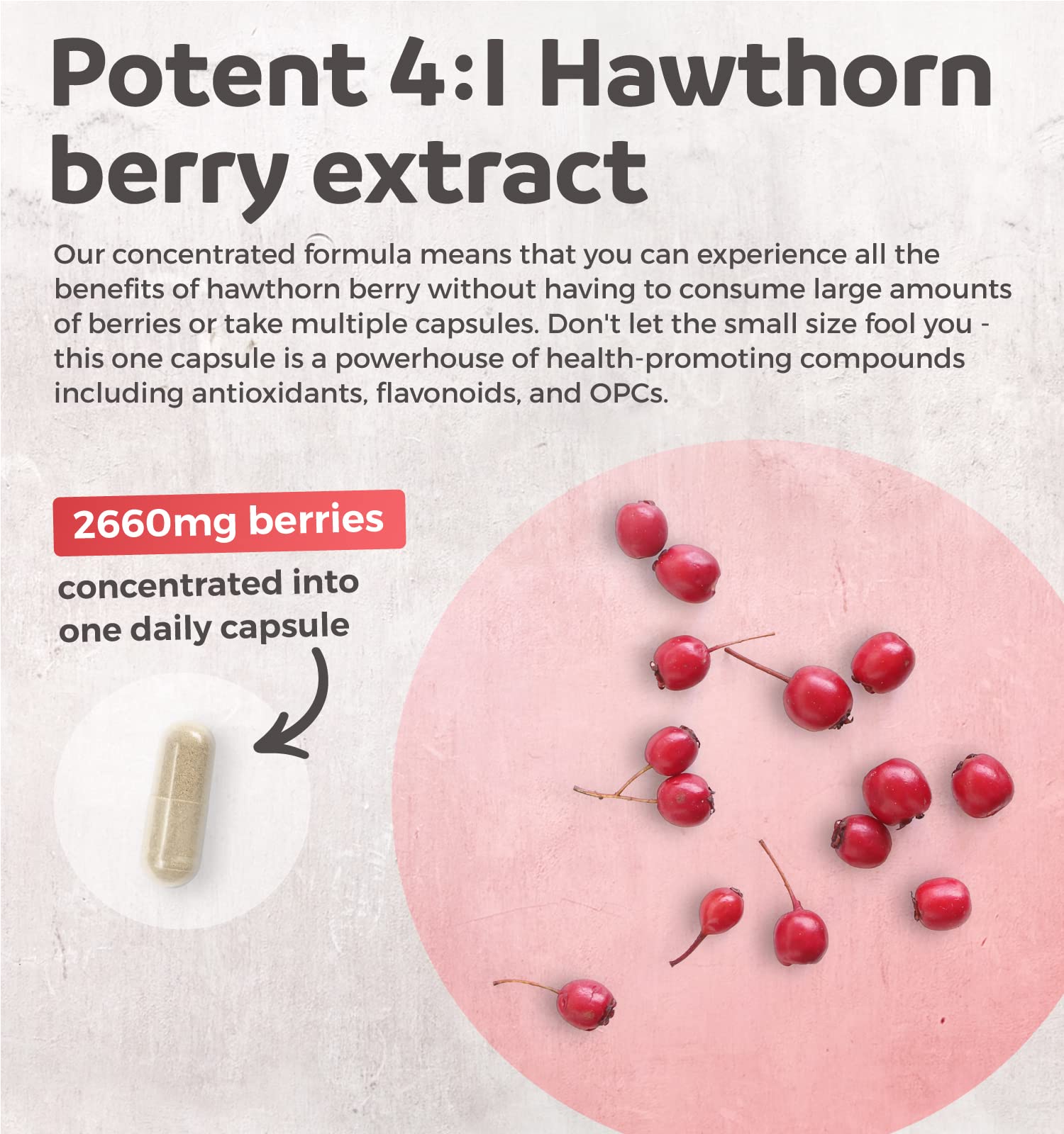 Hawthorn Berry Capsules - 4 Month Supply Digestion & Heart Health Supplement Healths Harmony uk supplements