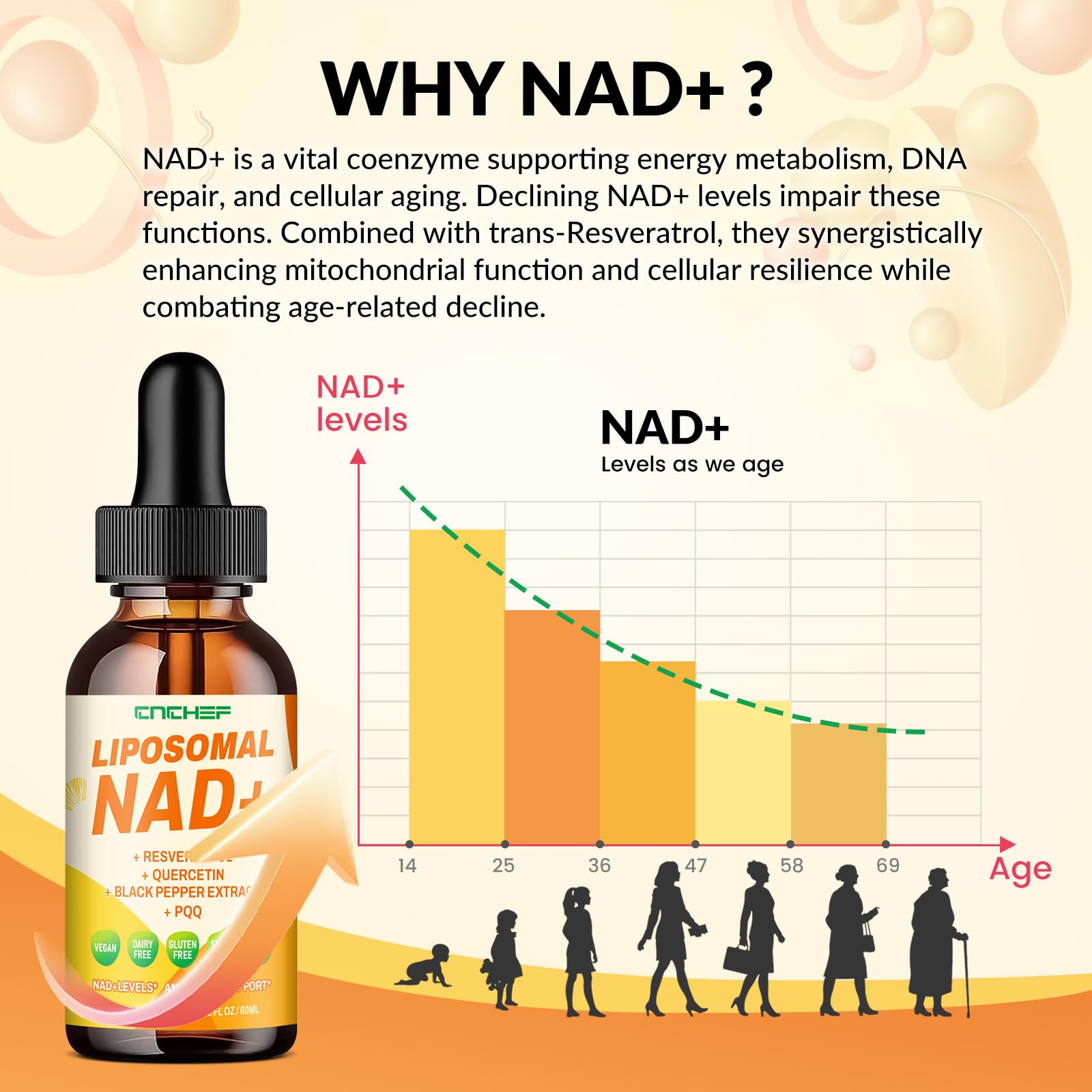 CNCHEF Liposomal NAD Supplement - 1500mg NAD+ Liquid Drop for Women & Men Nicotinamide Riboside Chloride & Resveratrol Complex - Cellular Renewal, Anti-Aging Support - 30 Servings (2 fl oz) CNCHEF uk supplements