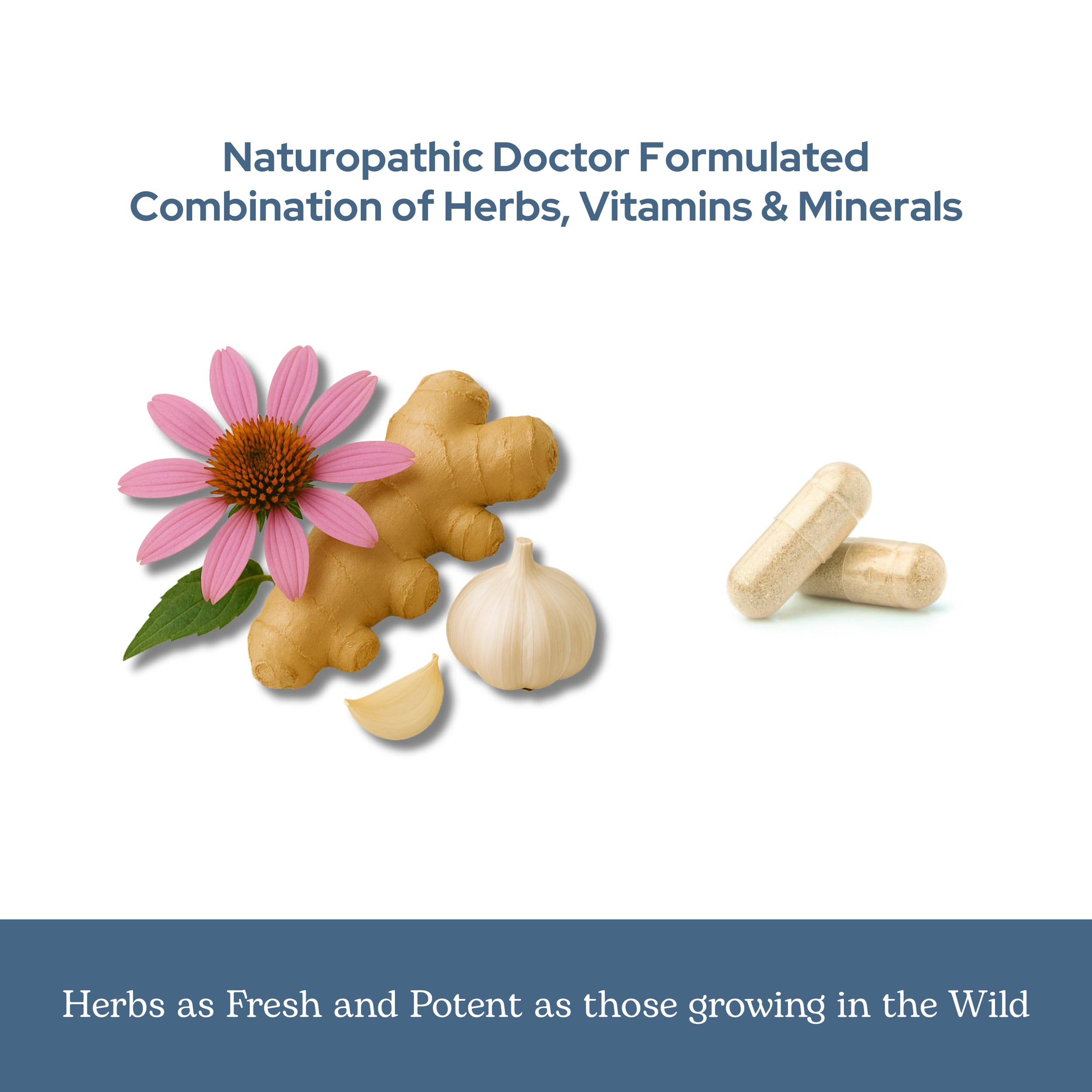 Eclectic Herb - Vitabiotic Capsules | Immune Support | Natural Herbal Multivitamin Supplement | Freeze Dried, Organic, Non-GMO, Vegan, Whole Herb (150 CT | 750 mg) ECLECTIC INSTITUTE uk supplements