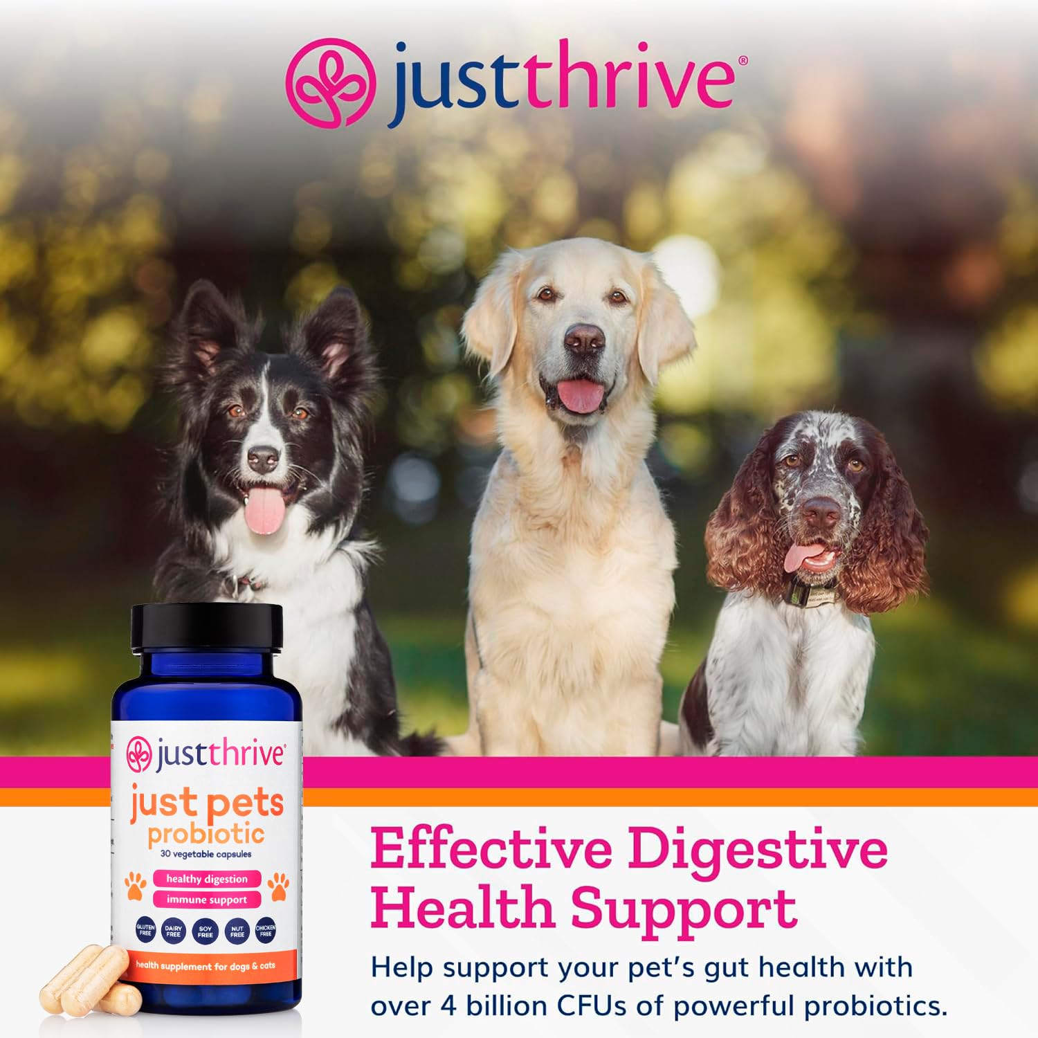 Just Thrive Just Pets Probiotic - Daily Digestive Probiotics for Dogs and Cats - 4 Billion CFUs Pet Probiotic, 30 Capsules Just Thrive uk supplements